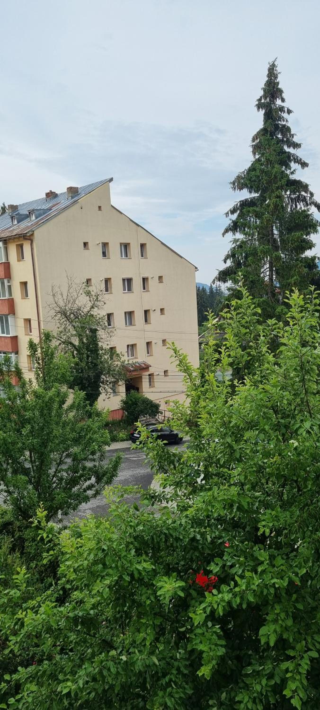 Apartament 3 camere view 3