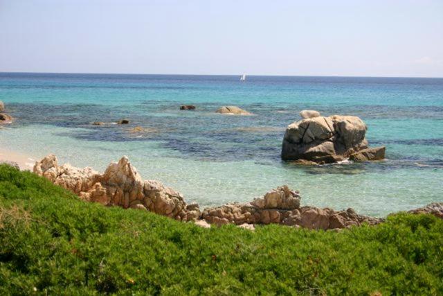 Villa Magnolia