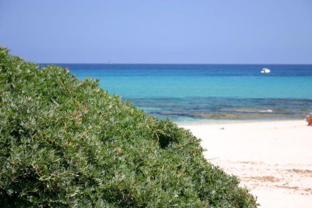 Villa Magnolia