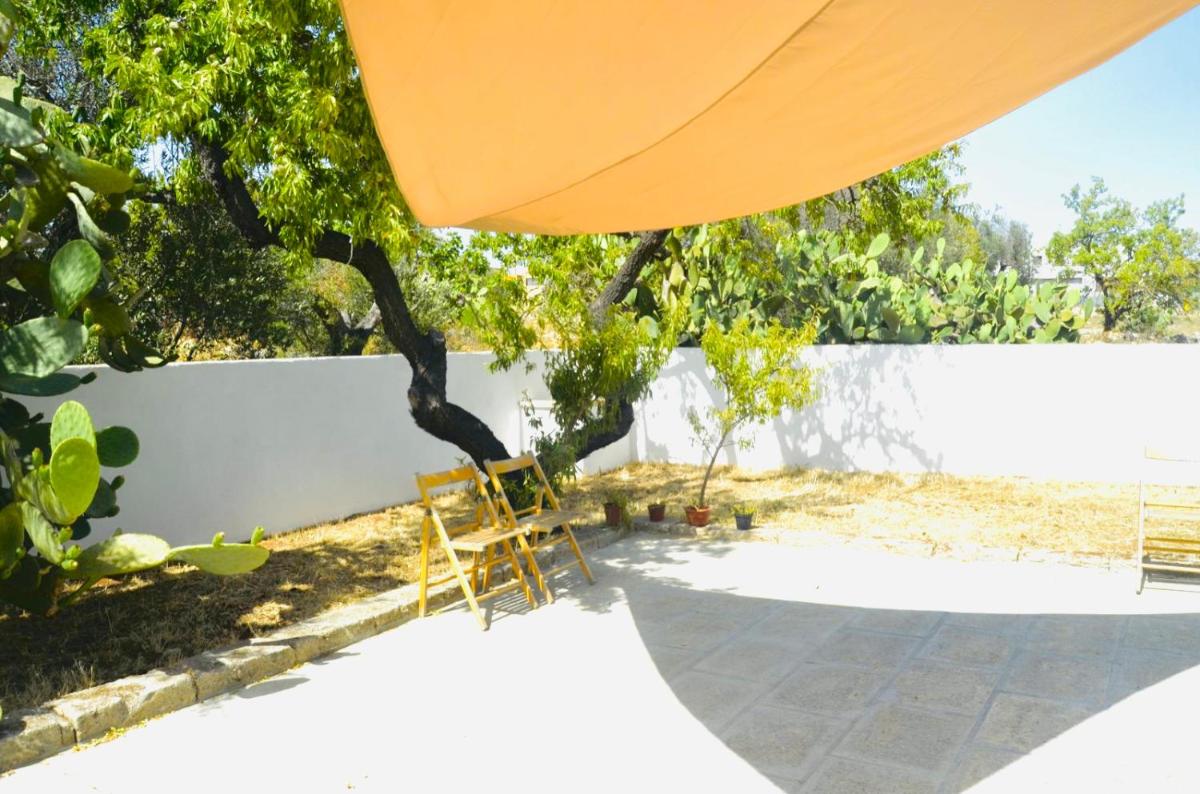 Photo 33