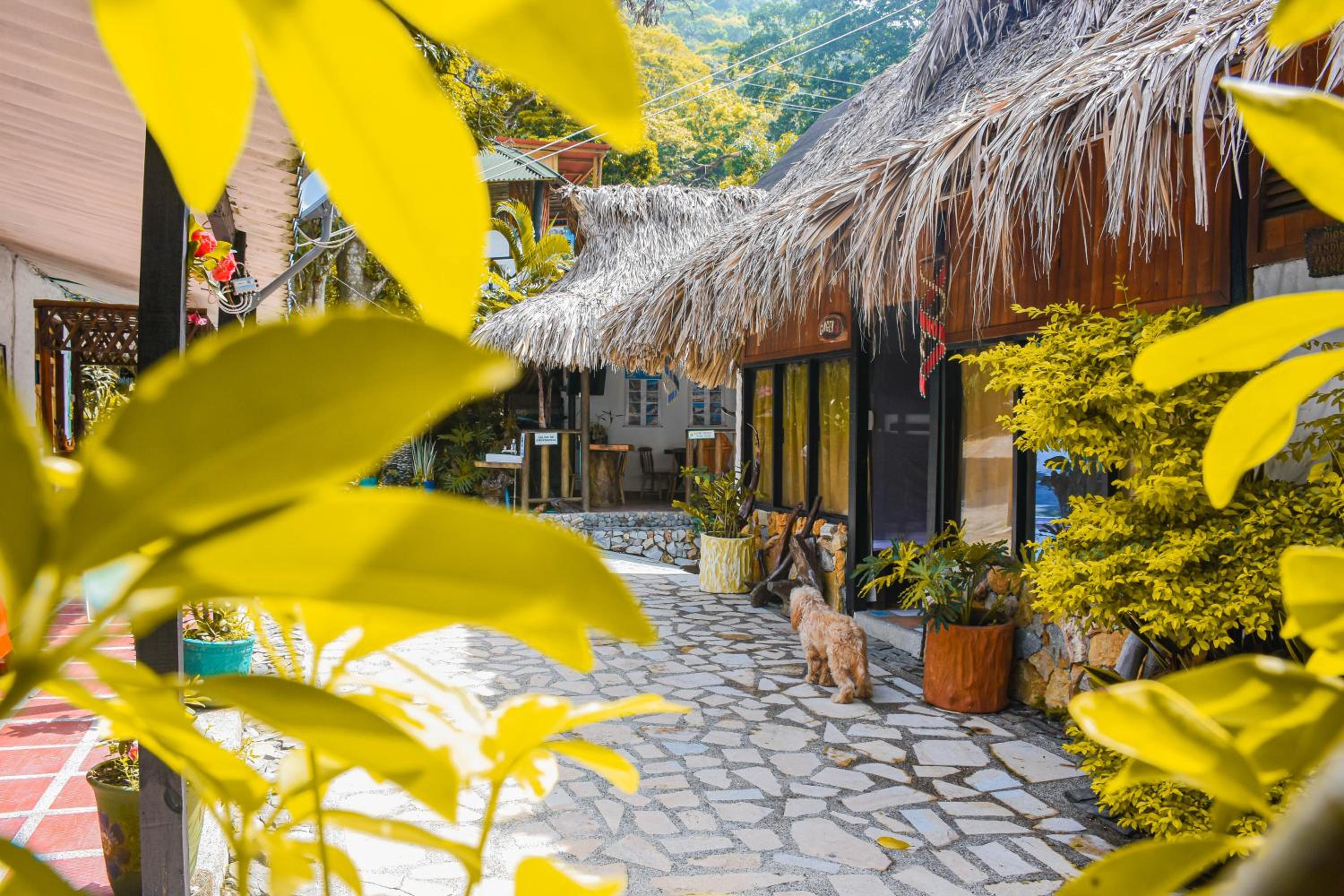 Casa Hostal Villa Del Rio