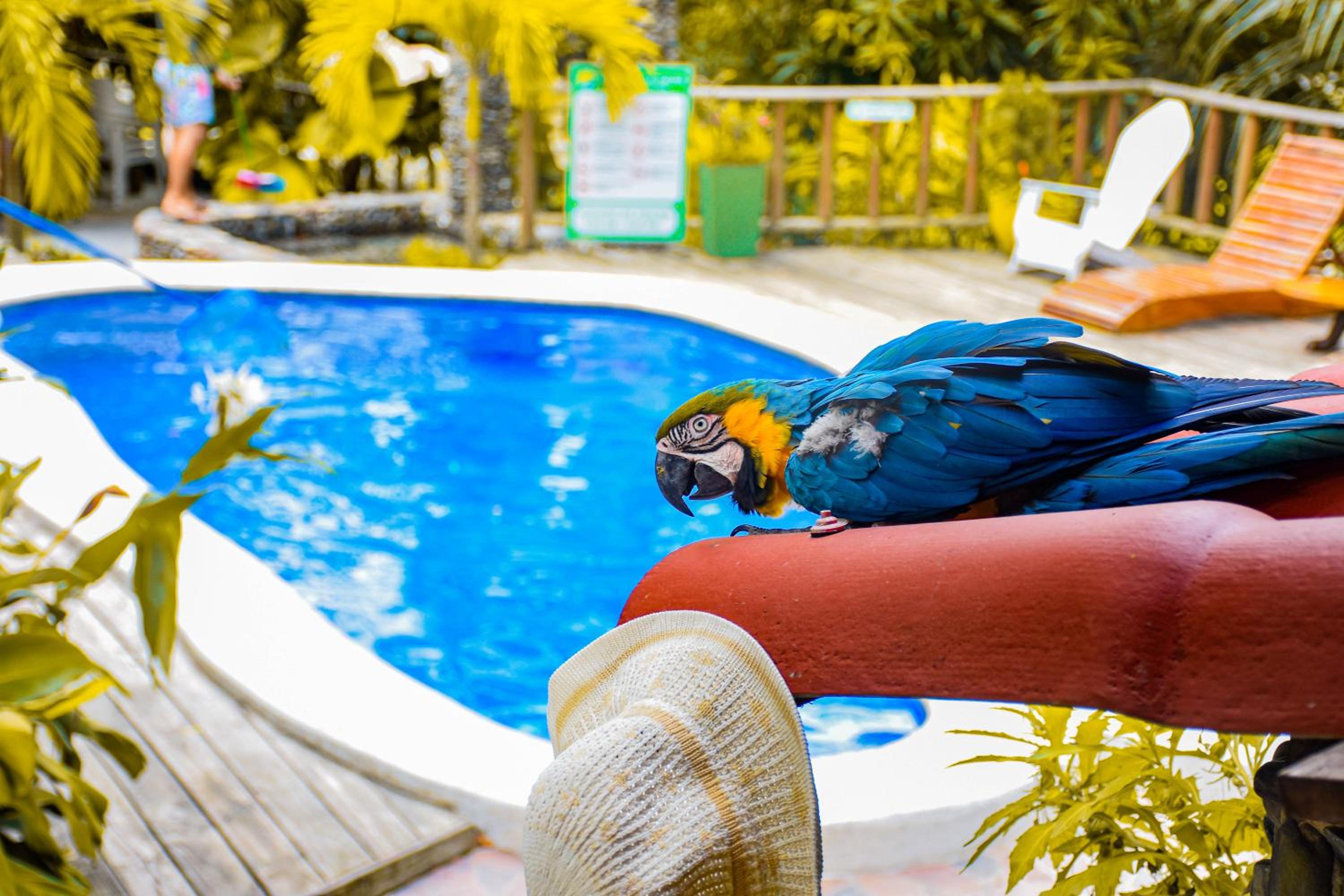 Casa Hostal Villa Del Rio