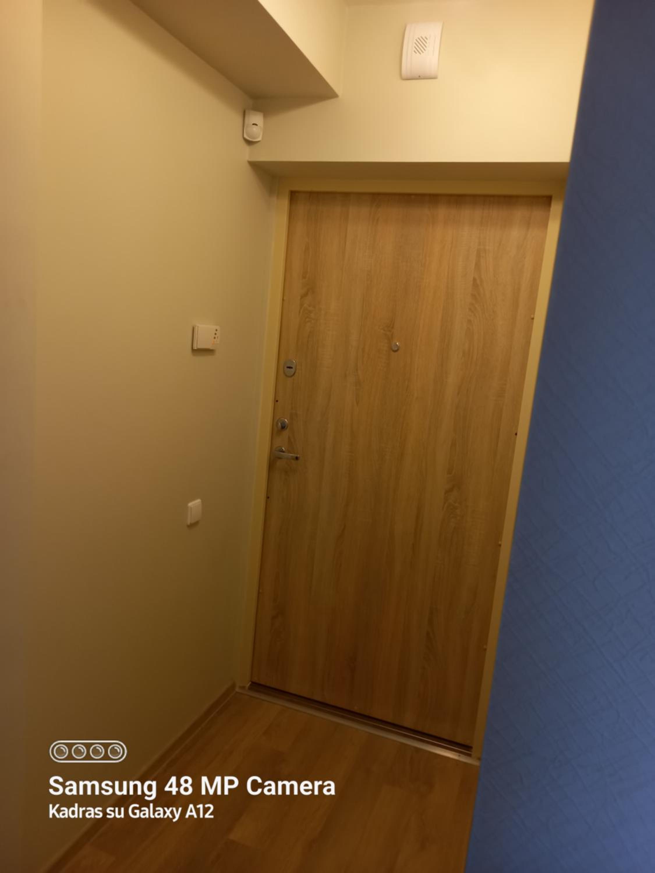 Dviejų kambarių butas