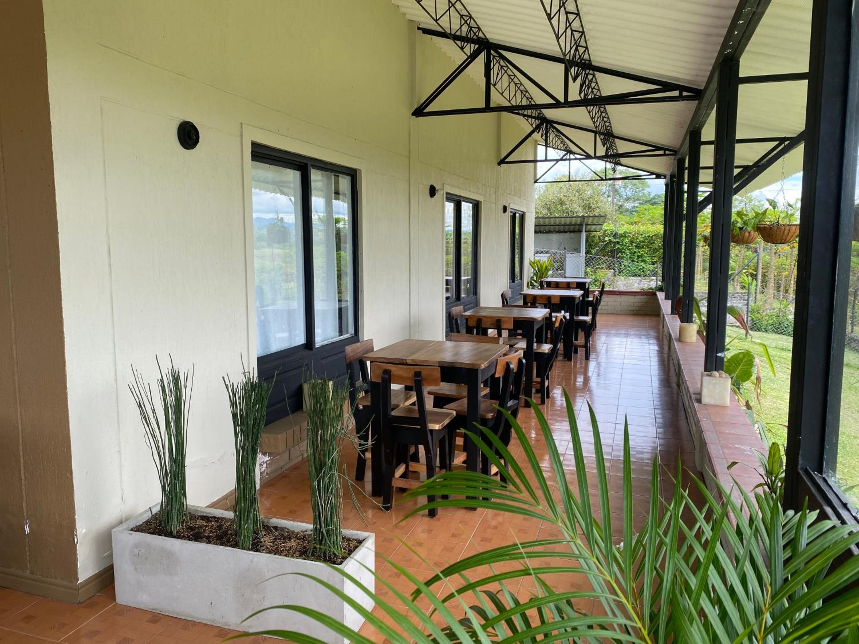 Baum Hotel
