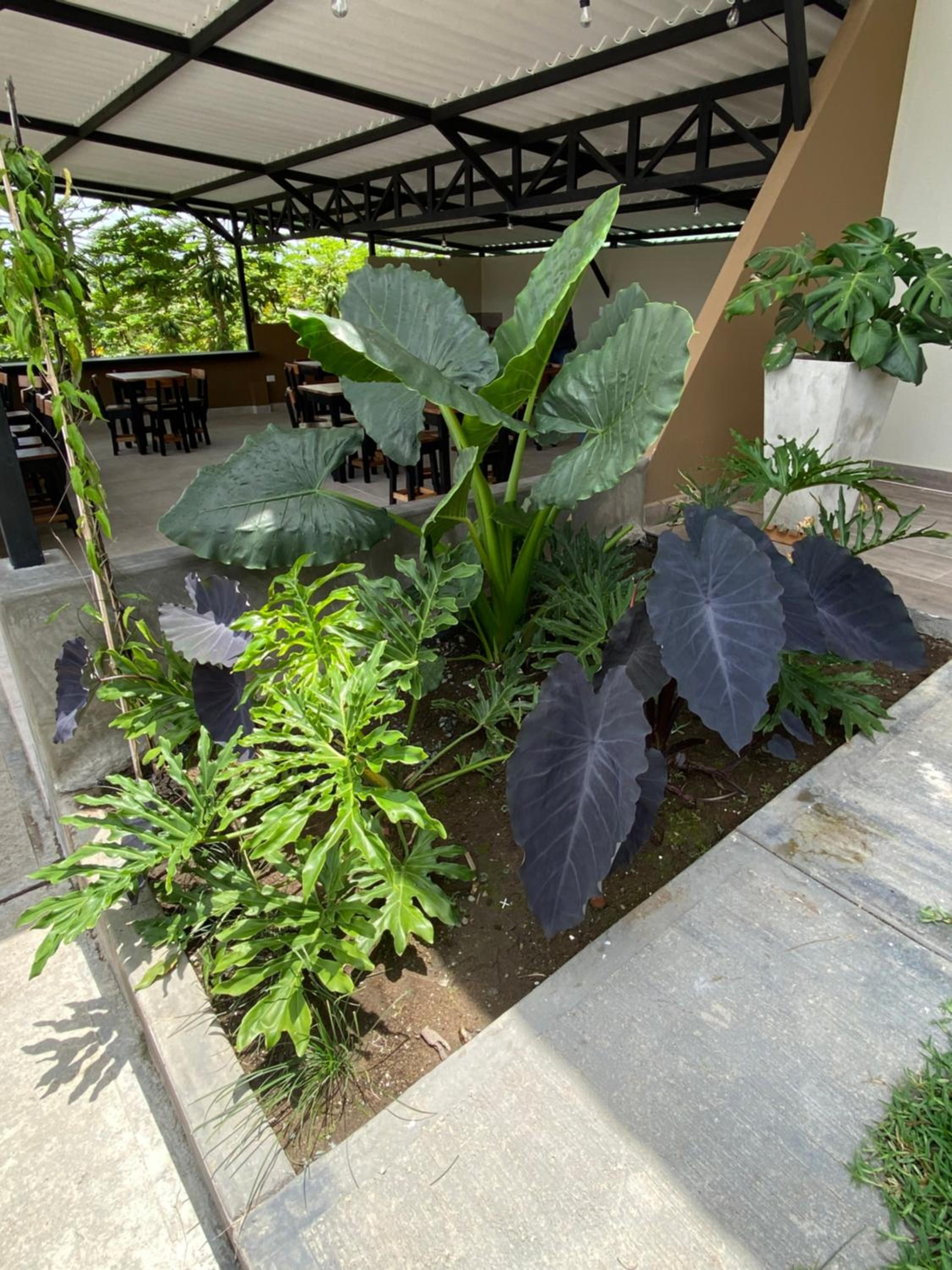 Baum Hotel