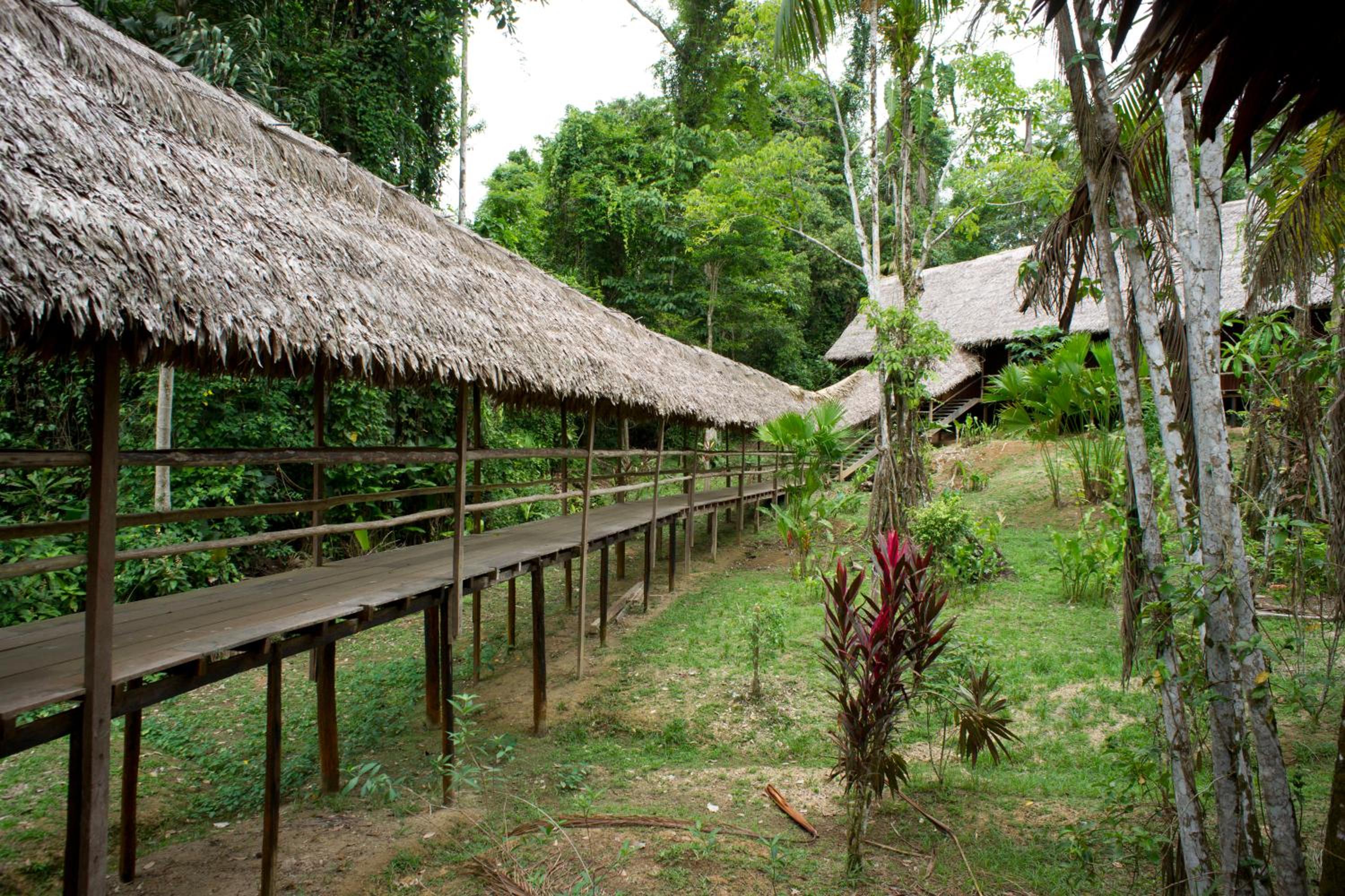 Explorama Lodge