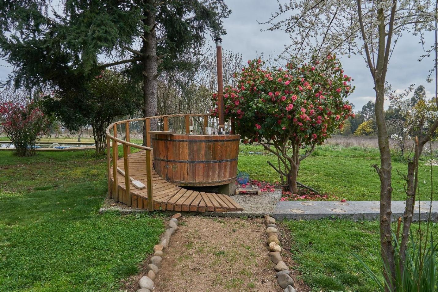 La Casa de Adobe Natural y Más