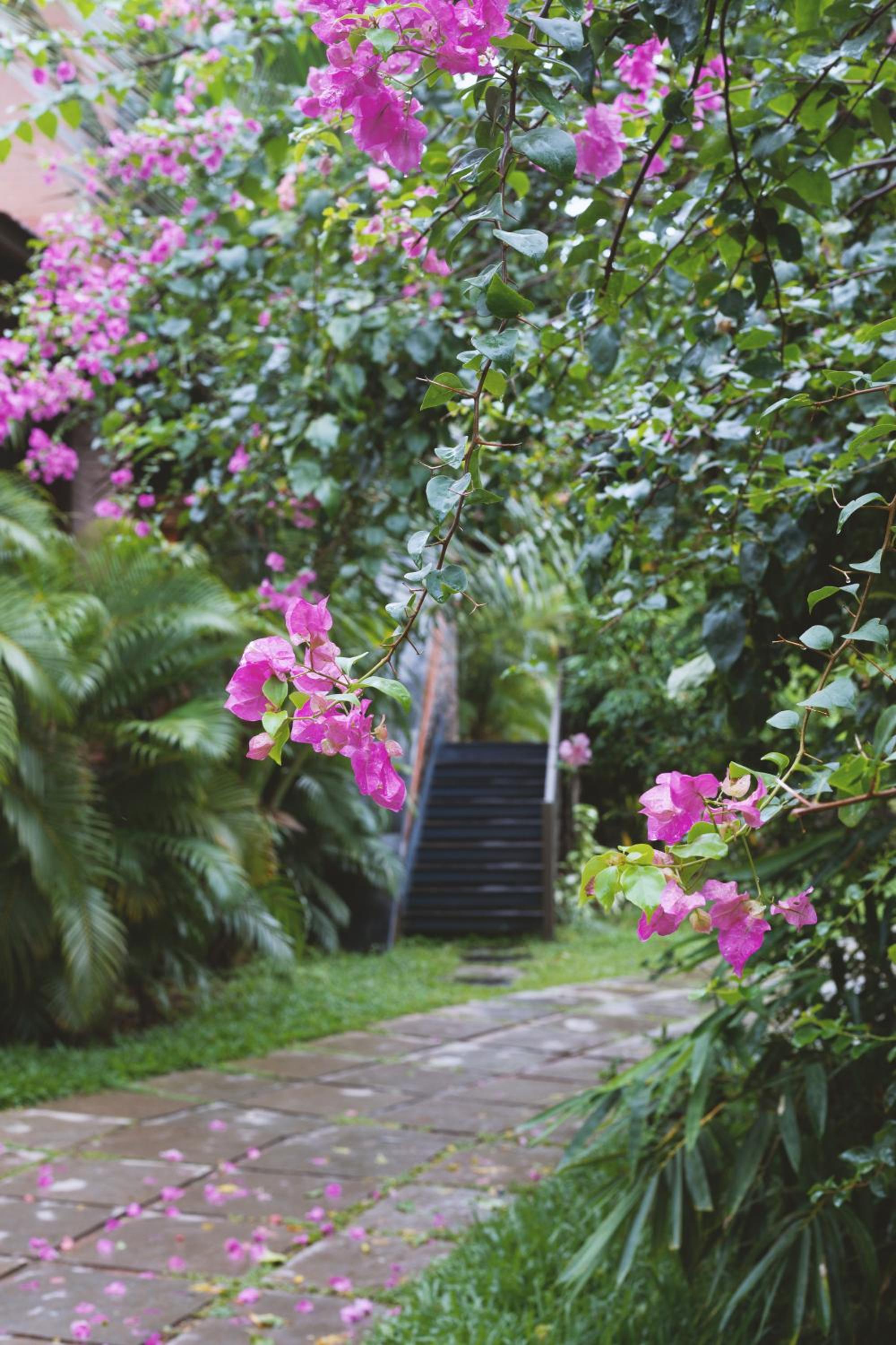 Kovalam Vacations - AMARA AYURVEDA RETREAT- Overlooking Evergreen Western Ghats an ecologically sustainable living space in Kovalam - Property Image 5