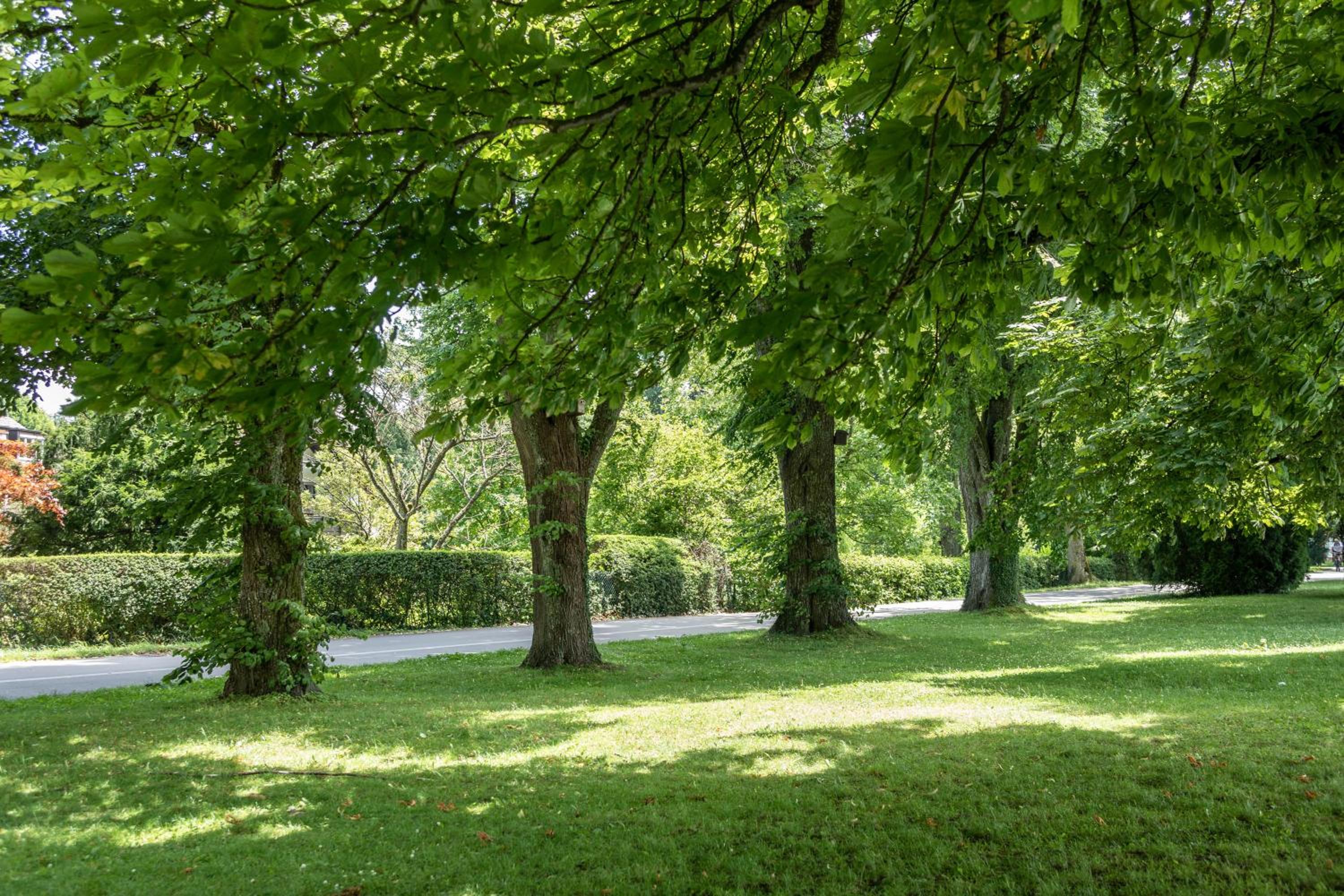 Ferienwohnung Bodensee