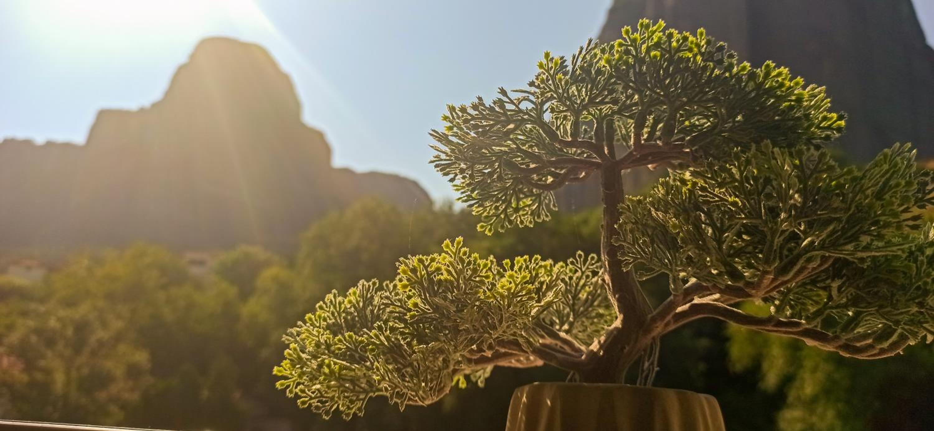 OIKIA KASTRAKI - Property Image 4