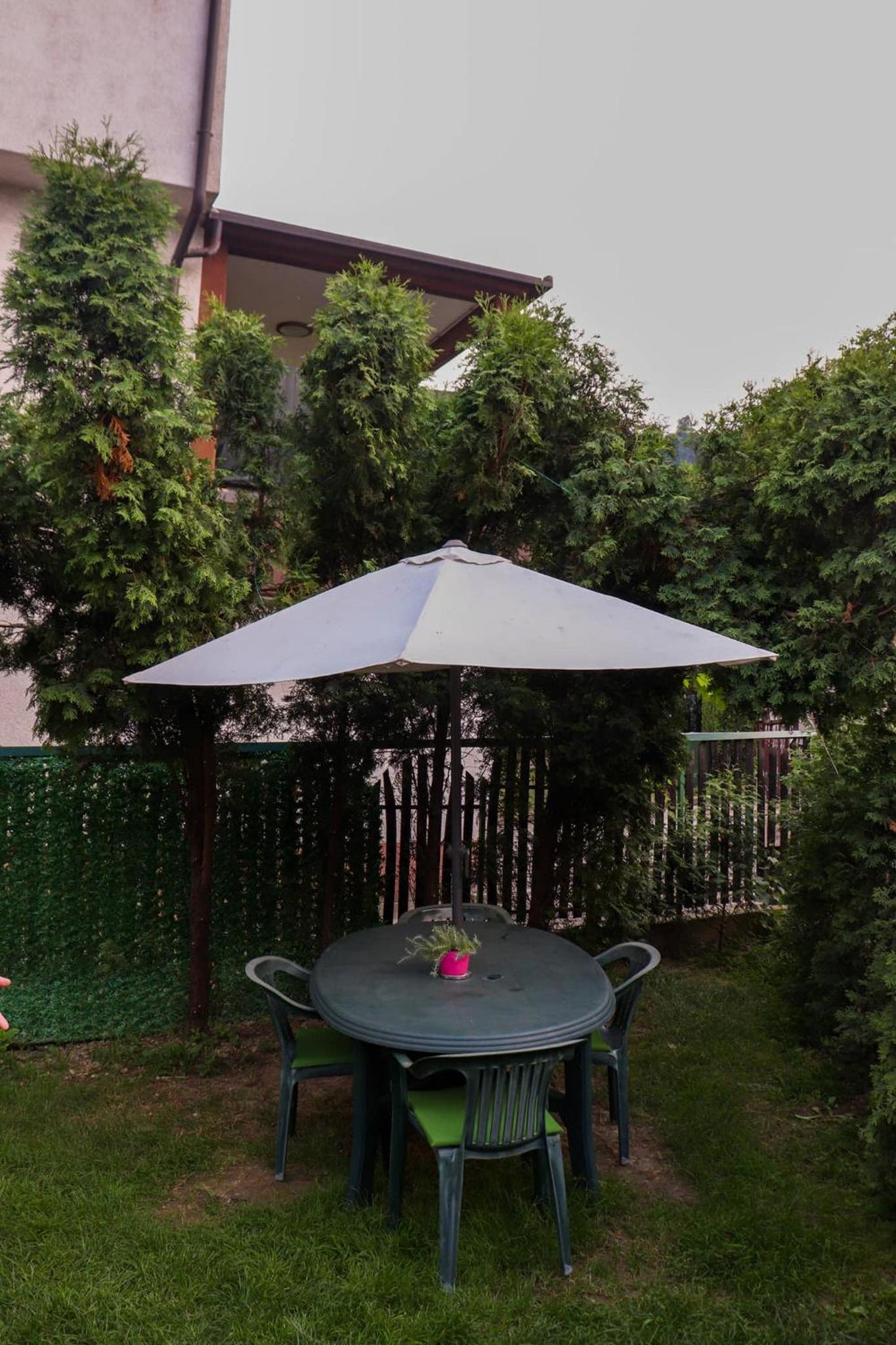 Orhideja Visoko