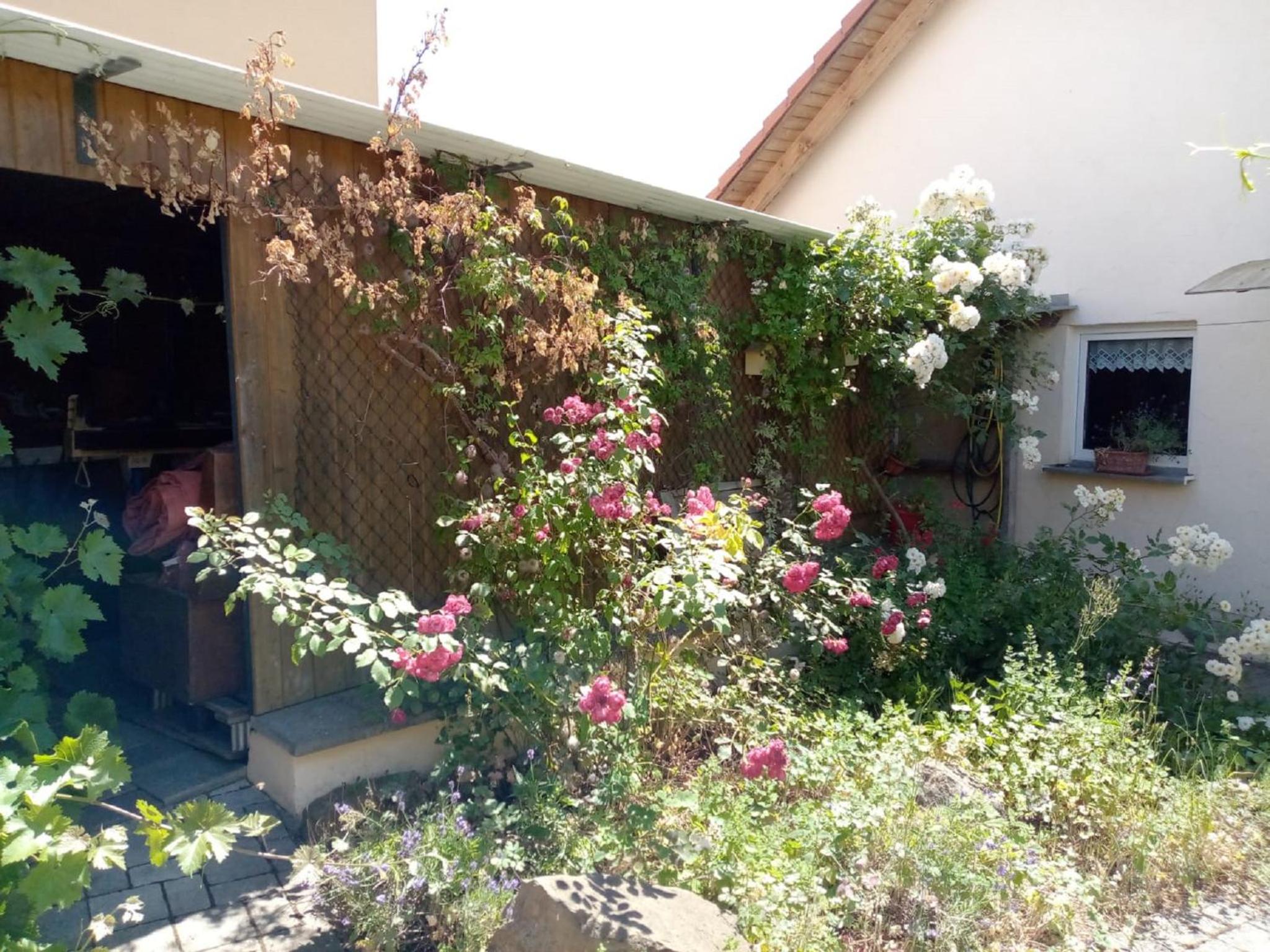 Ferienhaus Silvia