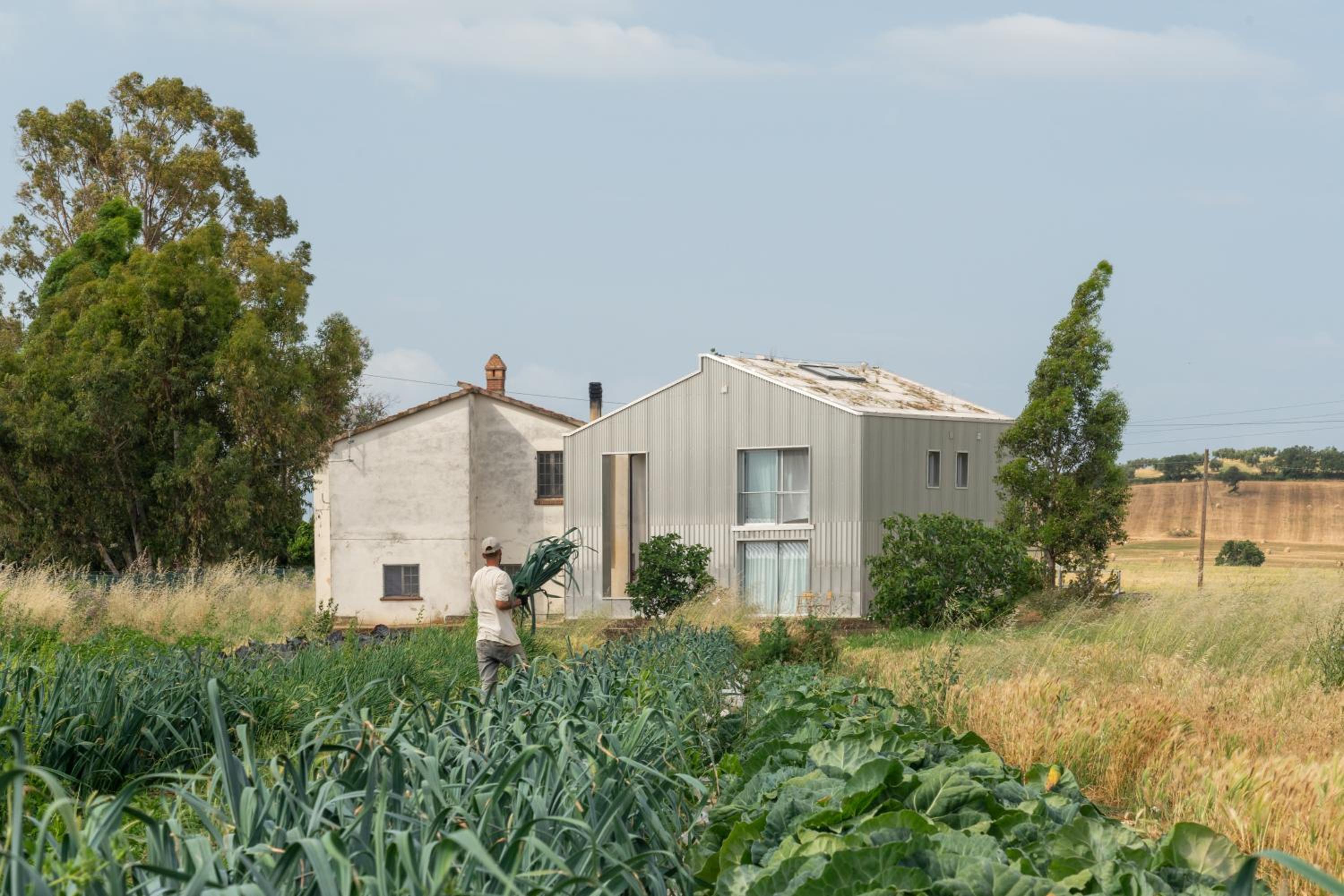 Anonima Agricola