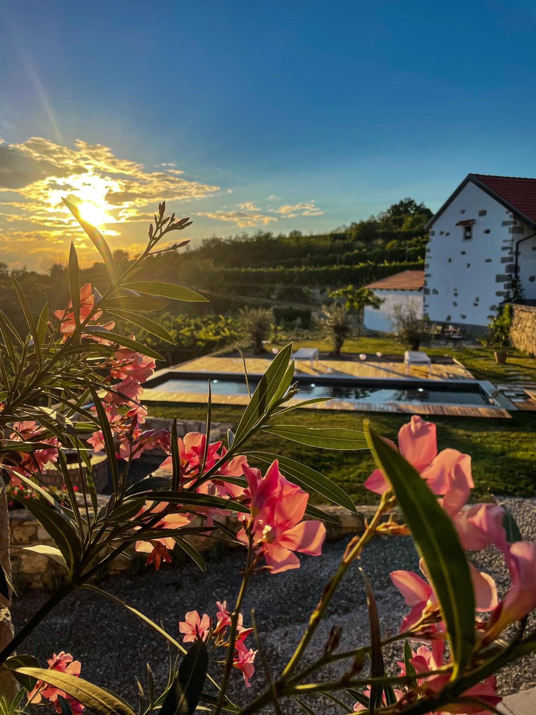 Hotel Škerlj Wine Estate - Image 1