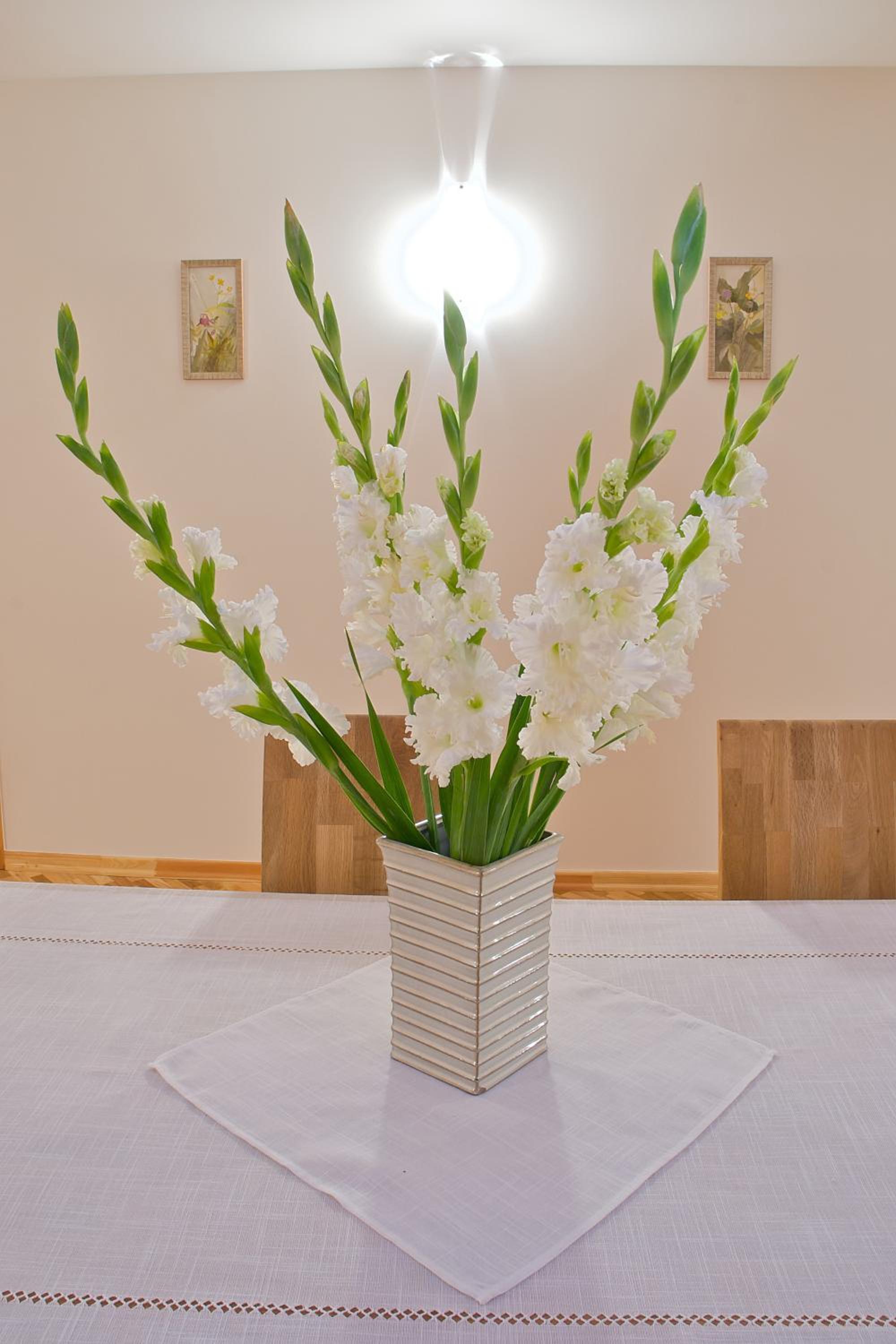 Photo 32