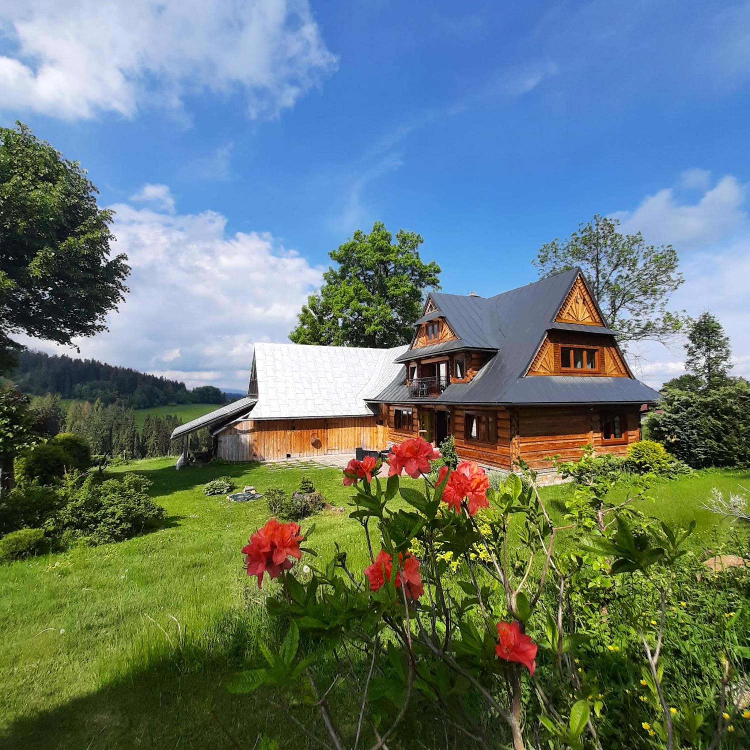 Miodowa Chata Pokoje Gościnne view 3