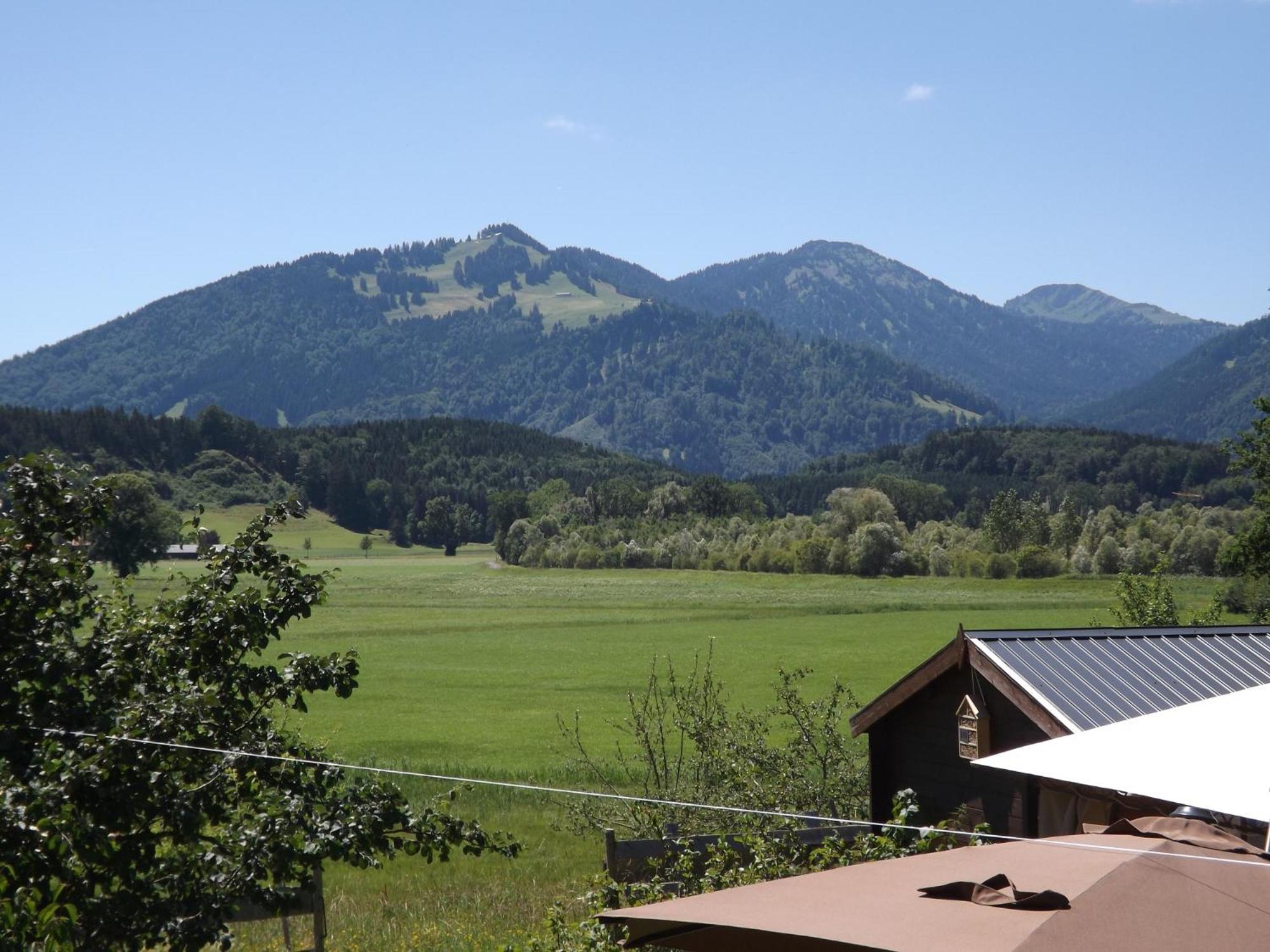 Photo 44