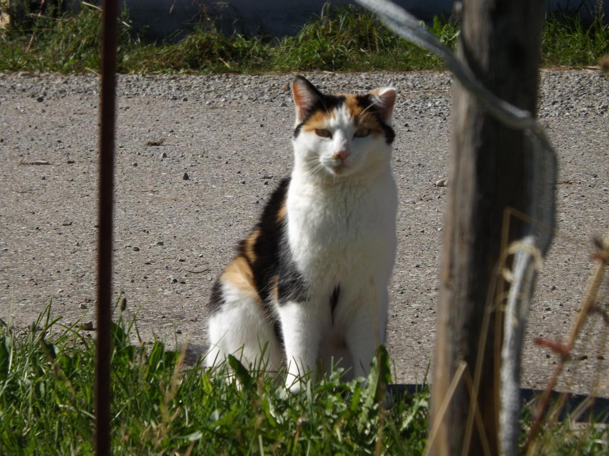Photo 22