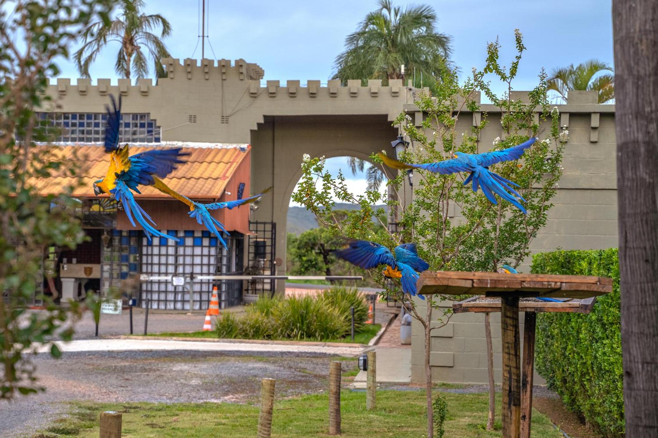 Pousada Camelot Inn