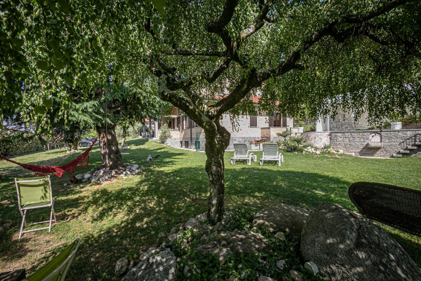 Photo 43