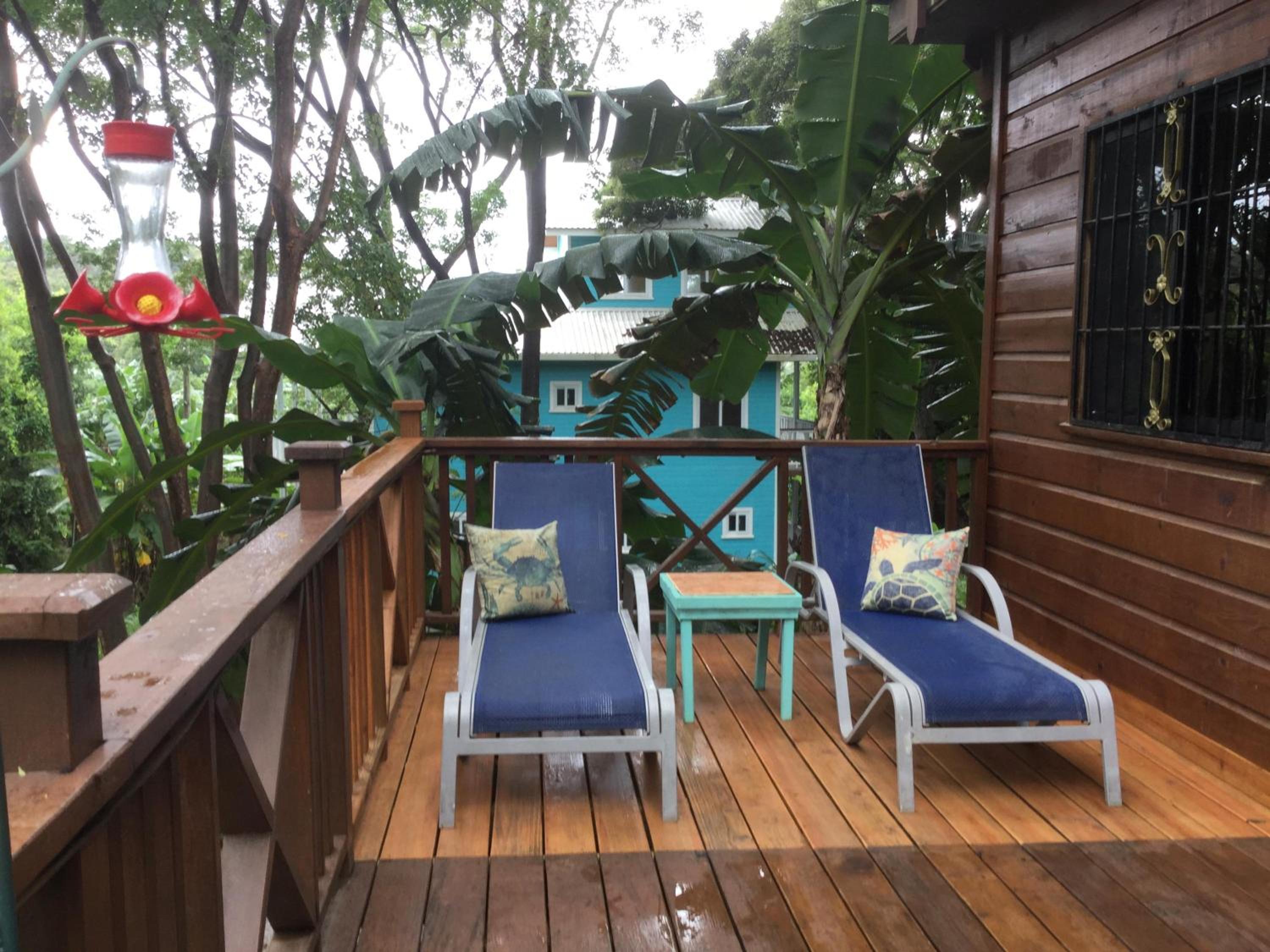 Located Among The Woods On A country Road Leading West Bay Beach view 3