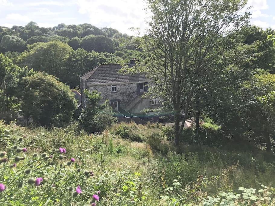 Your luxurious and secluded retreat in Cornwall view 4