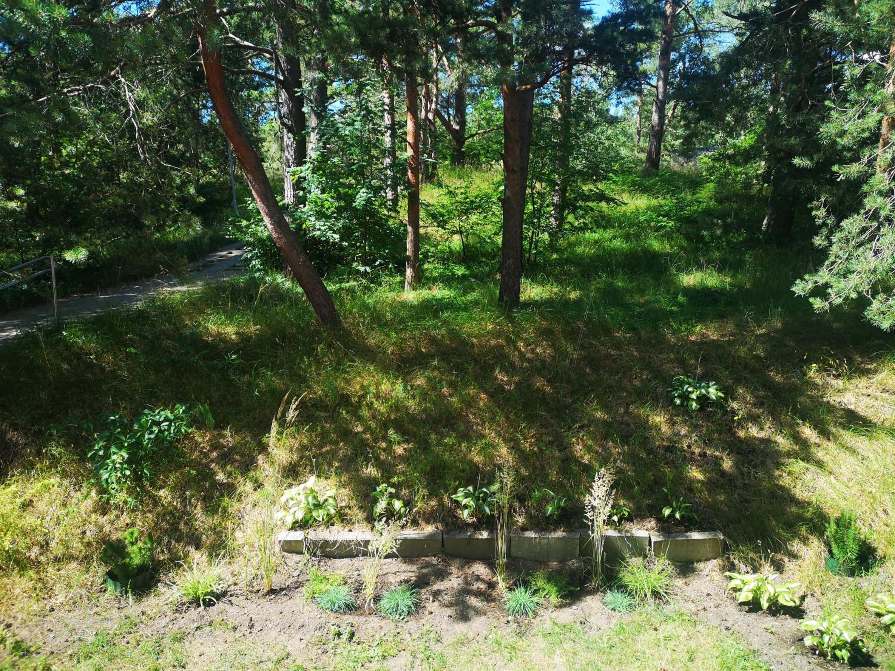 Miško studija view 3