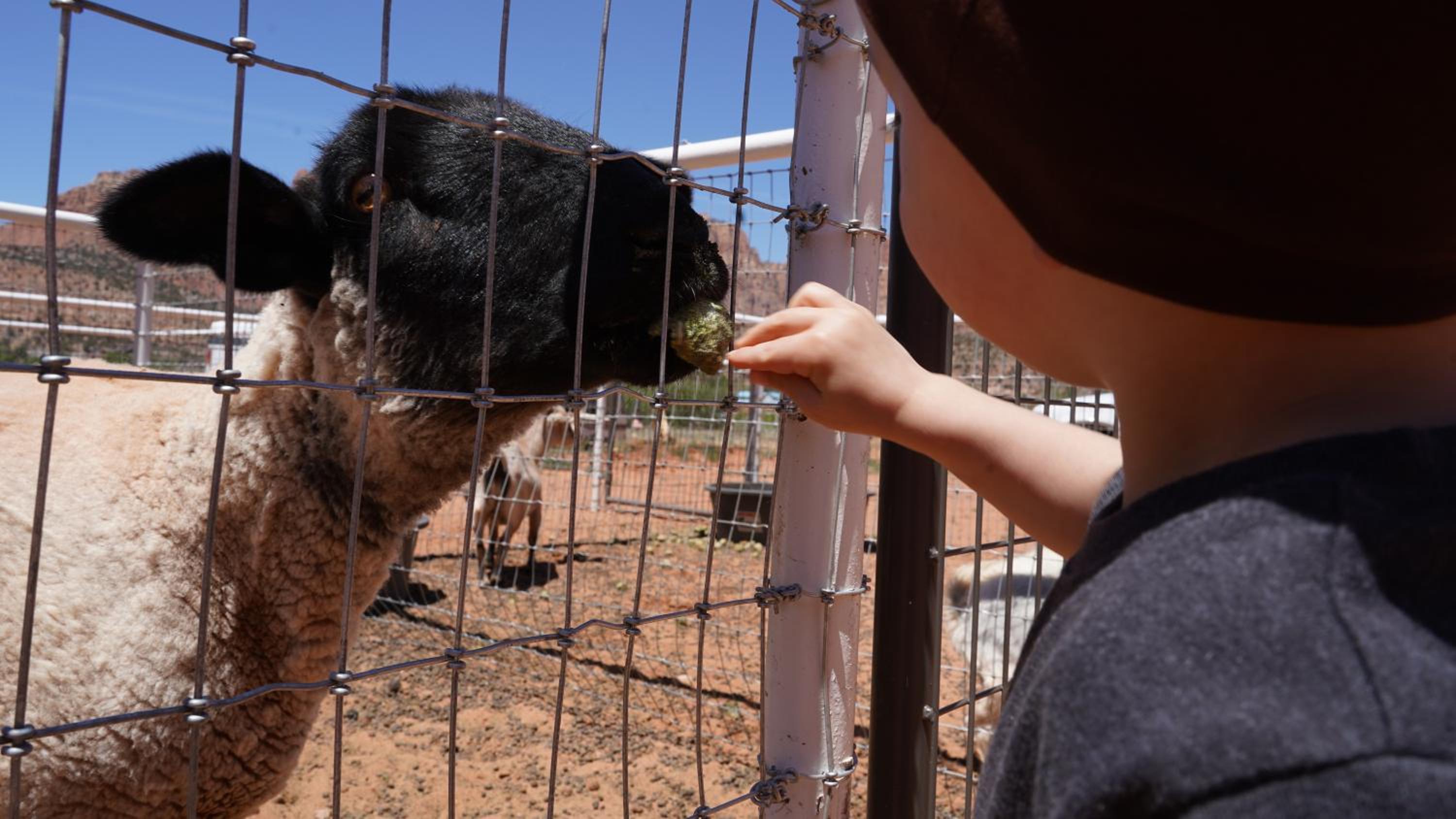 Zion View Camping - Property Image 106