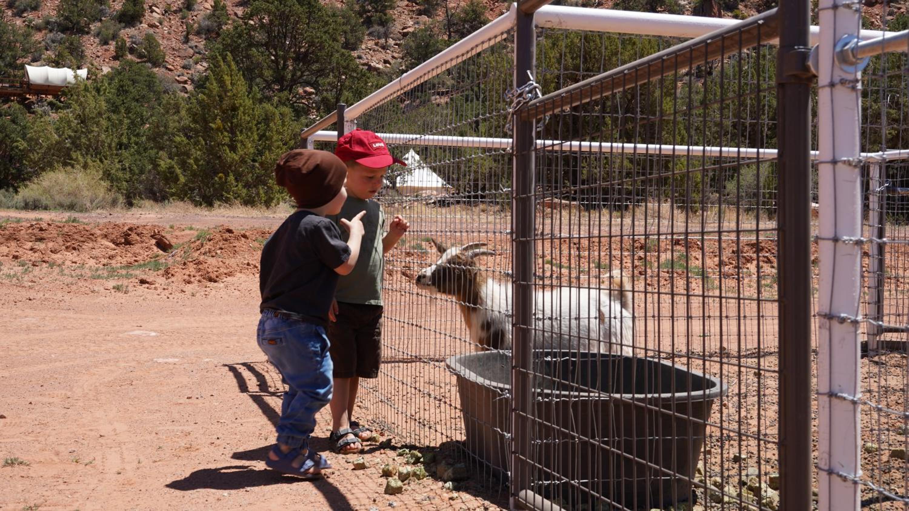 Zion View Camping - Property Image 119
