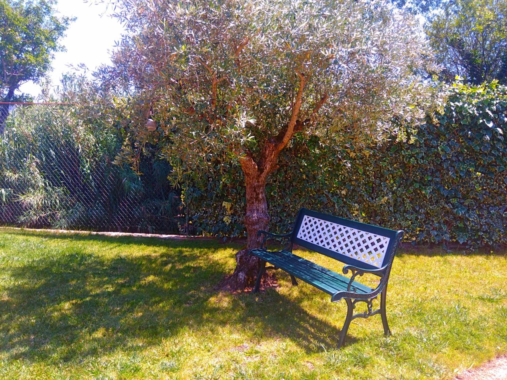 Photo 47