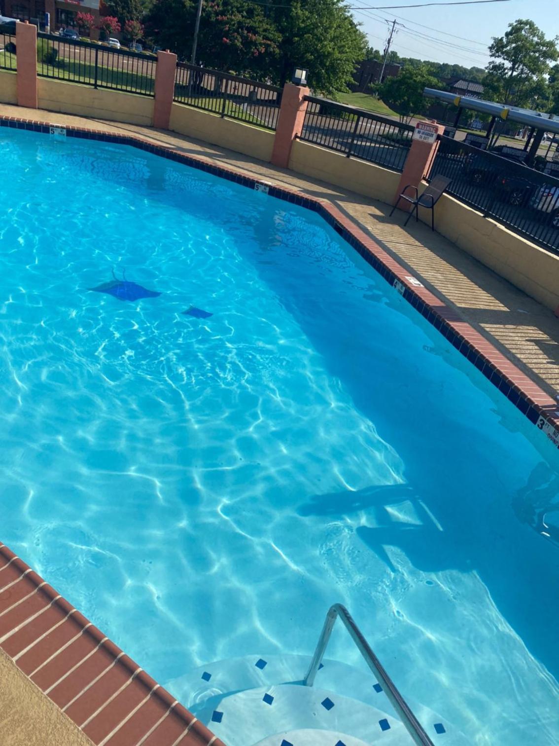Days Inn by Wyndham Hernando view 3