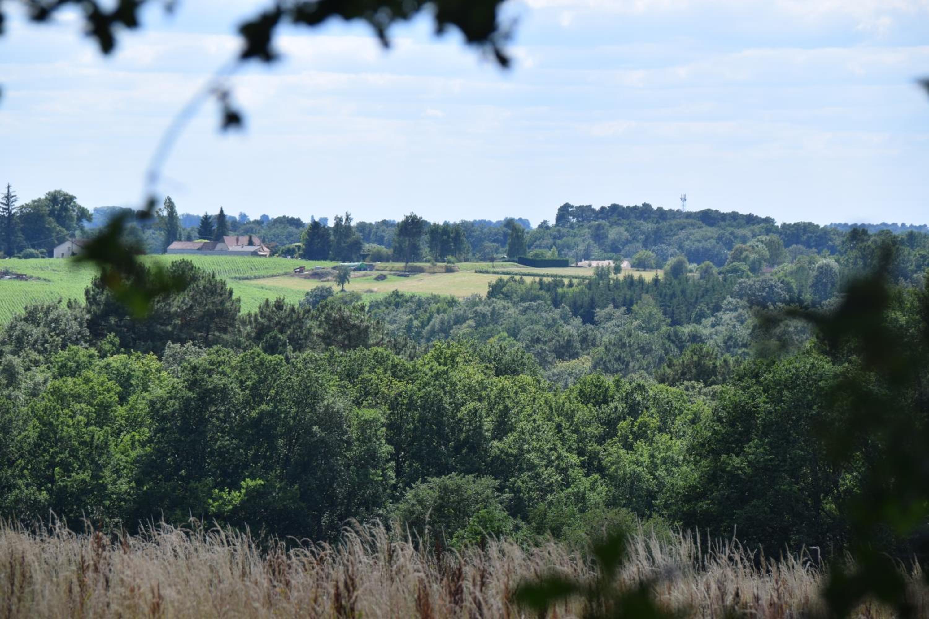 Photo 45
