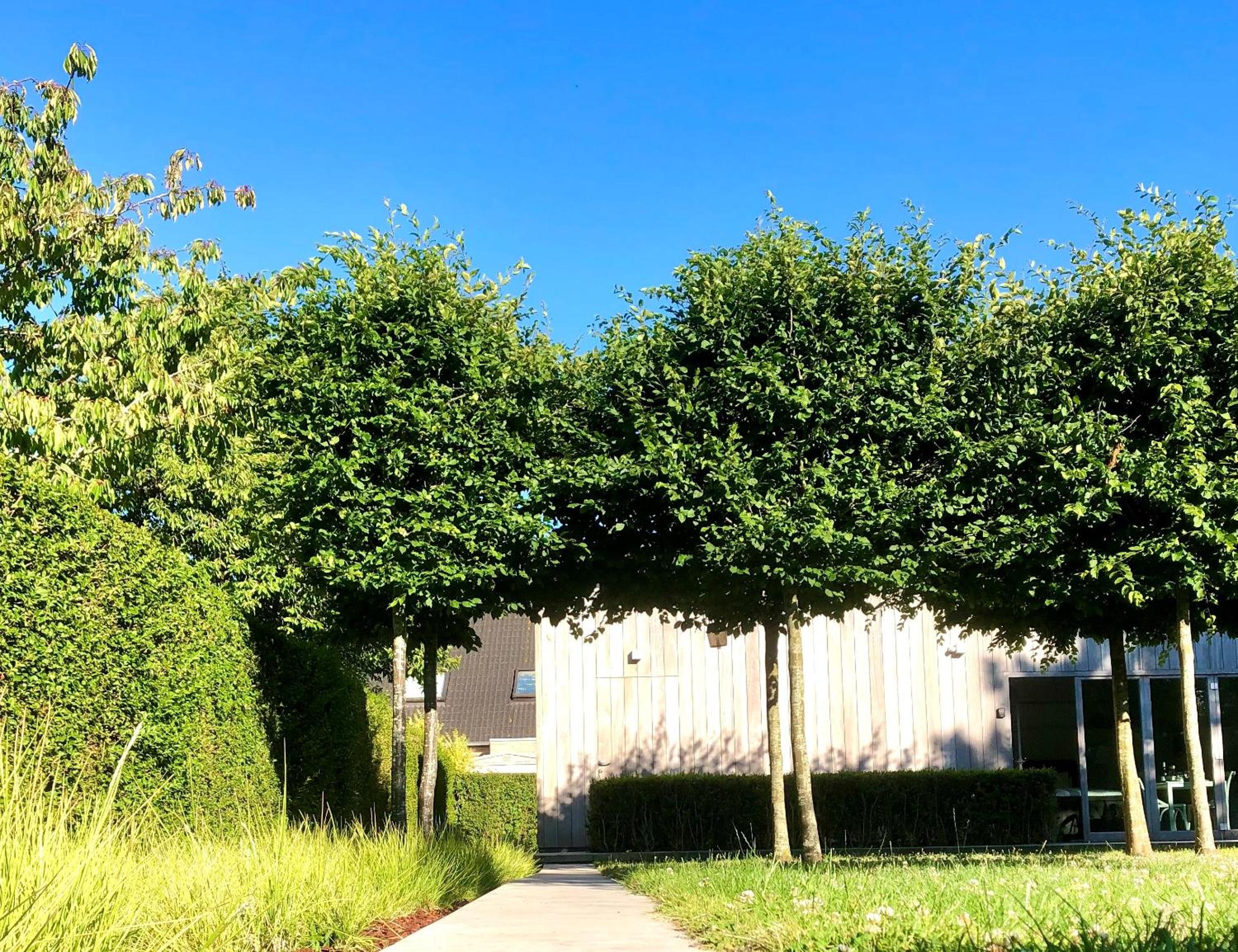 Gardenhouse 'The Block' - Ostend - private garden - IR cabine - AC view 3