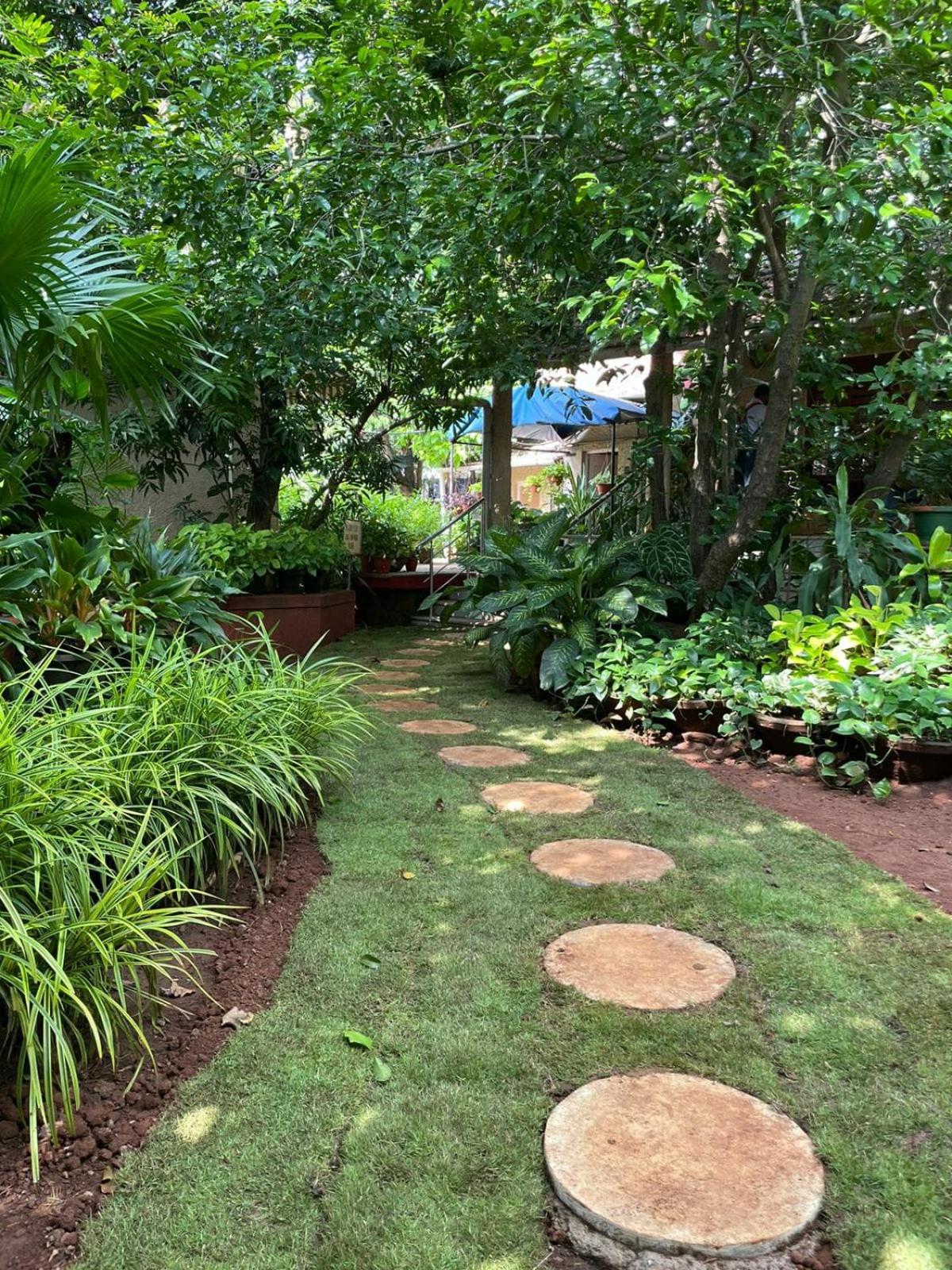 Livingstone Bella Vista Abode view 5