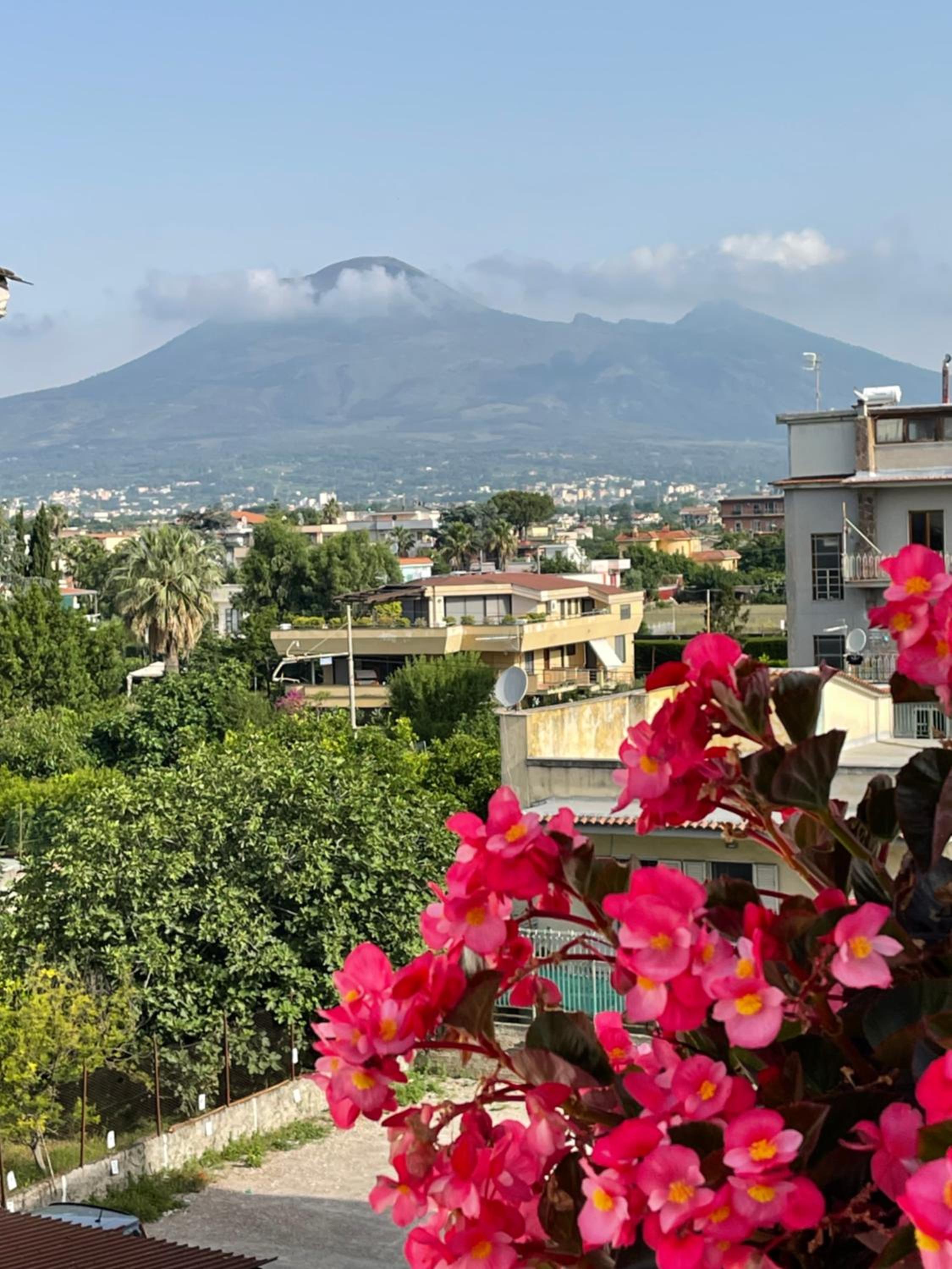 Photo 50