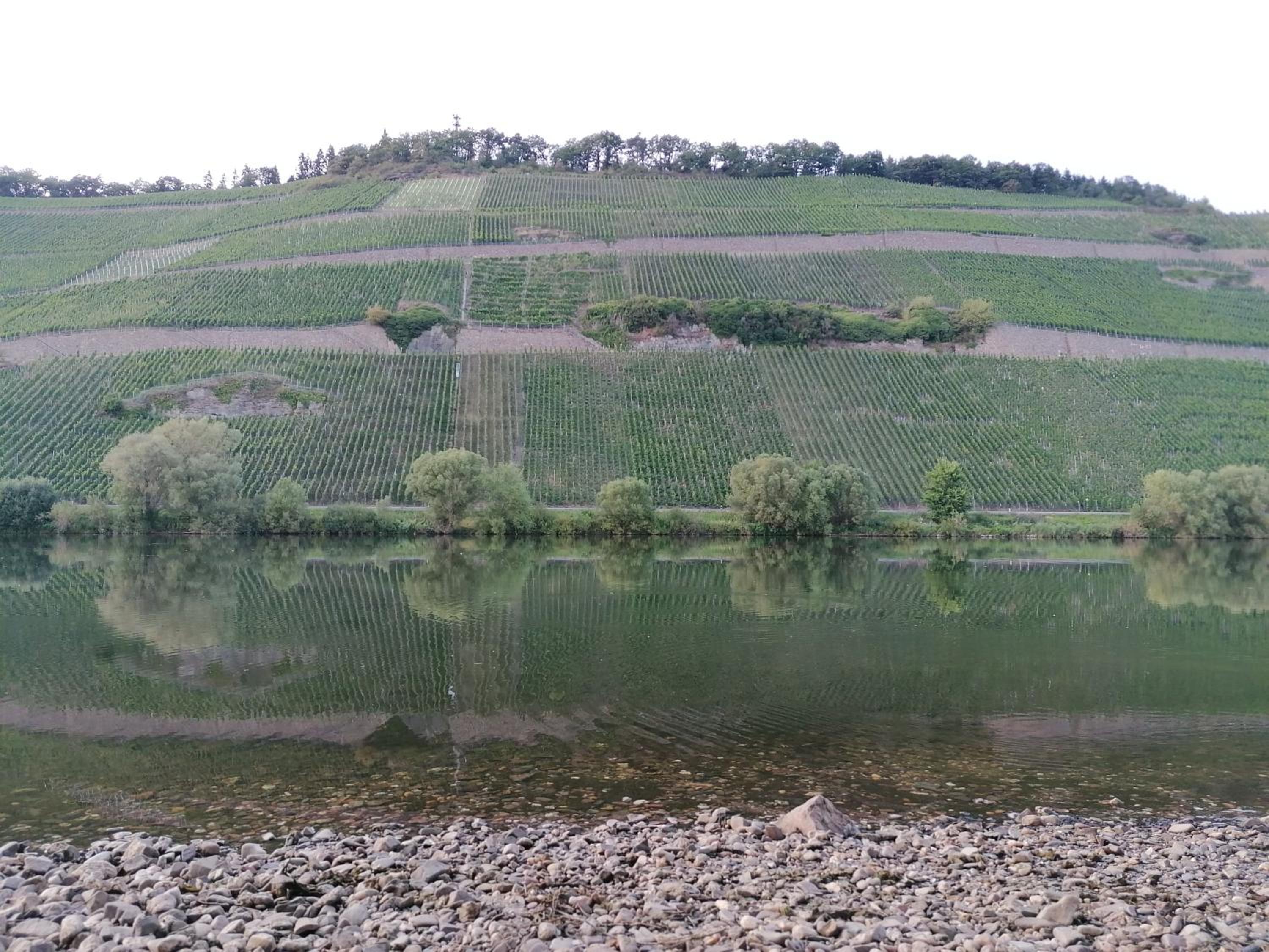 FeWo Sonnenlay - Apartments an der Mosel