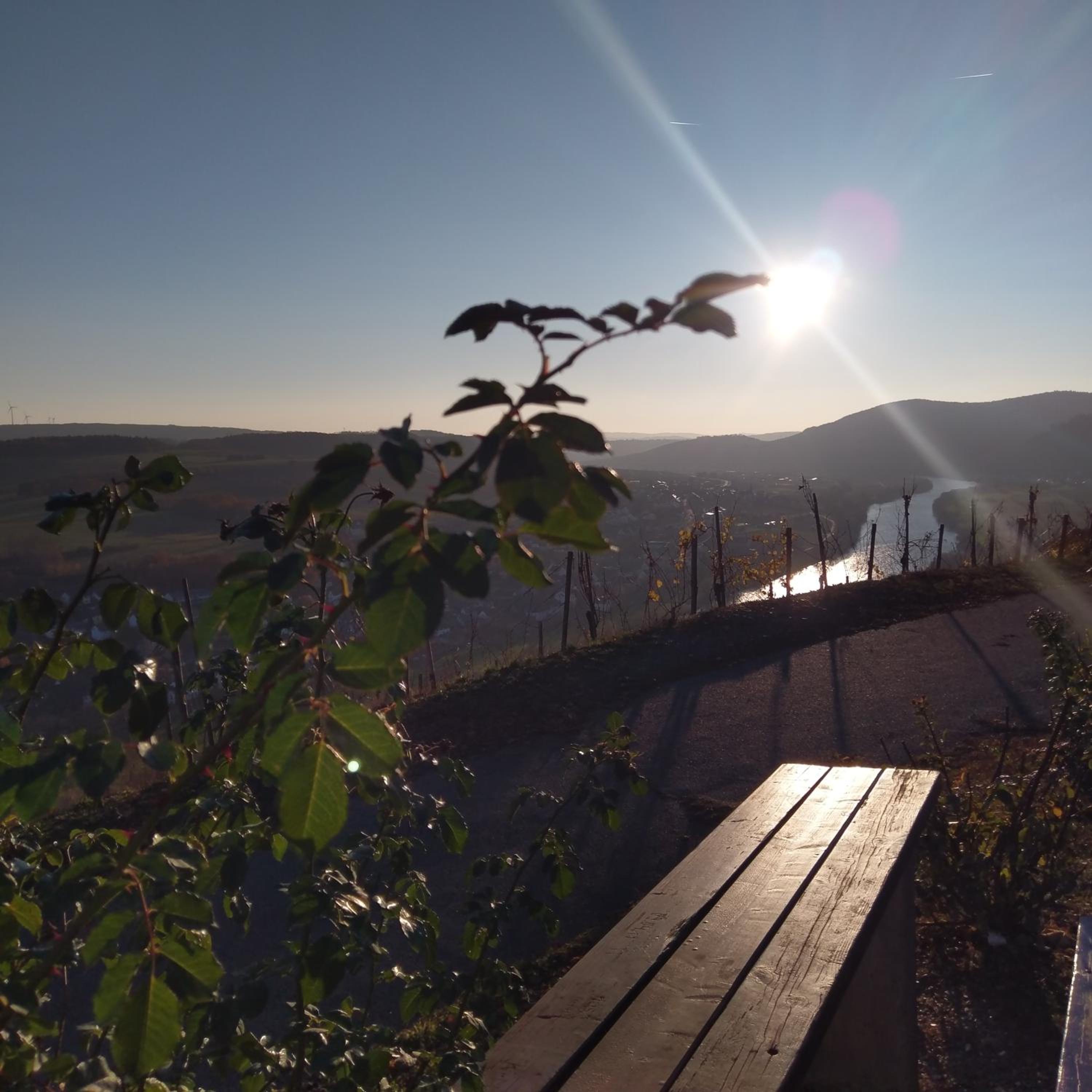 FeWo Sonnenlay - Apartments an der Mosel