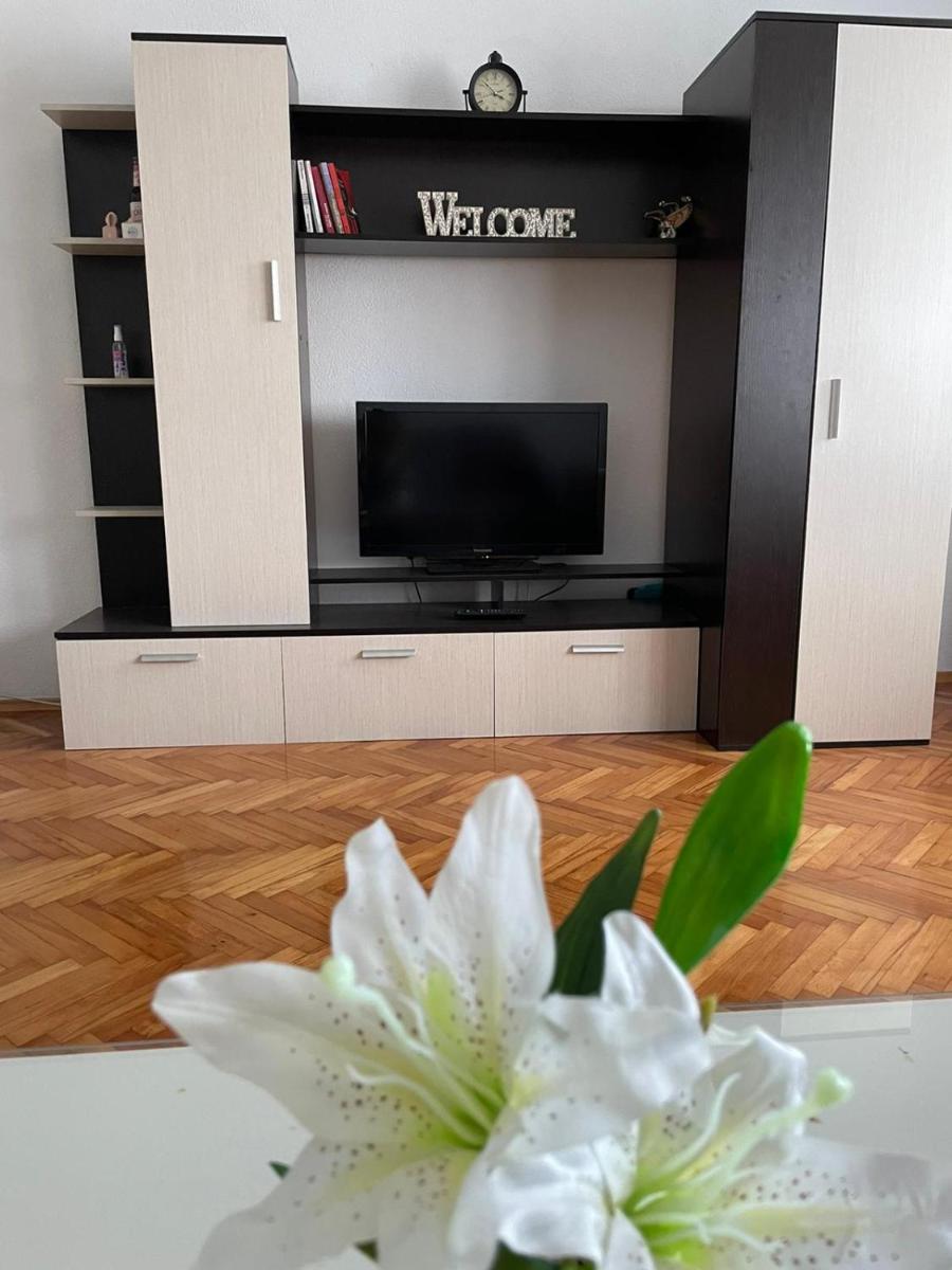 Peaceful and spacious apartment with free parking