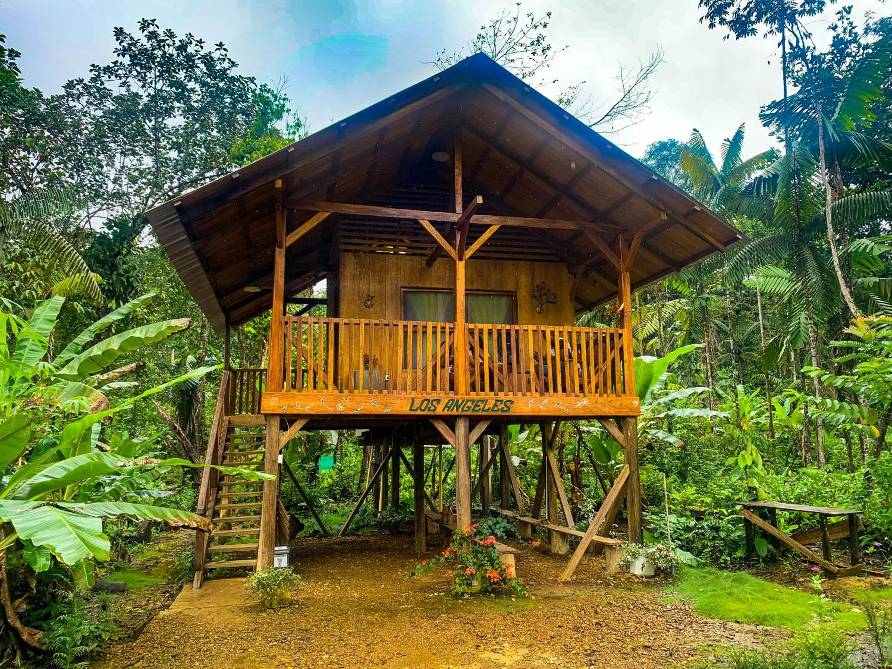 Mama Yeya raíces