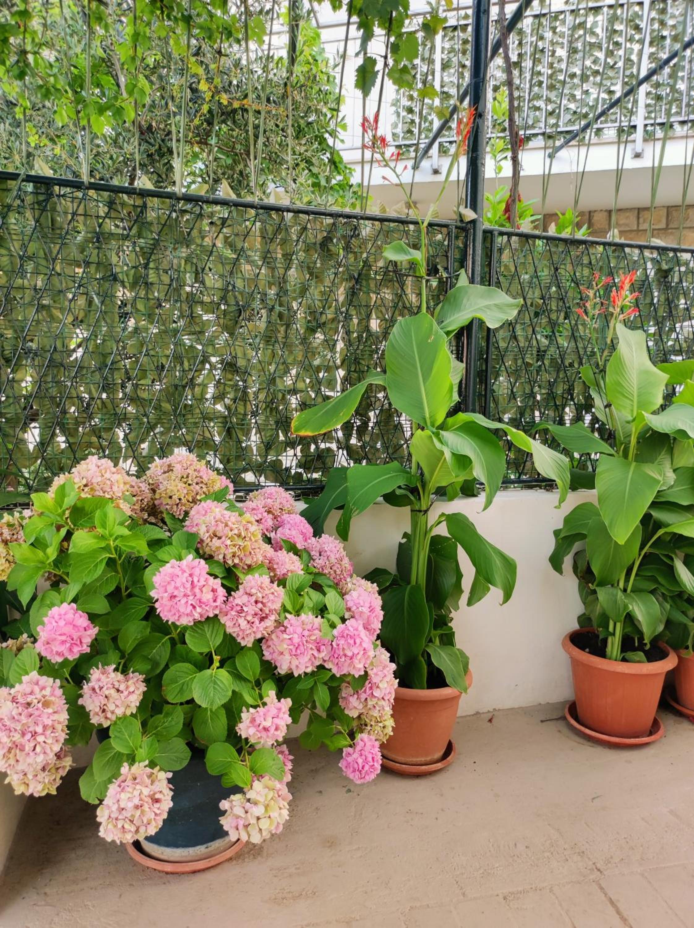 Apartment Manilu
