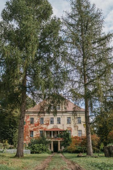 Pałac Rząsiny view 5
