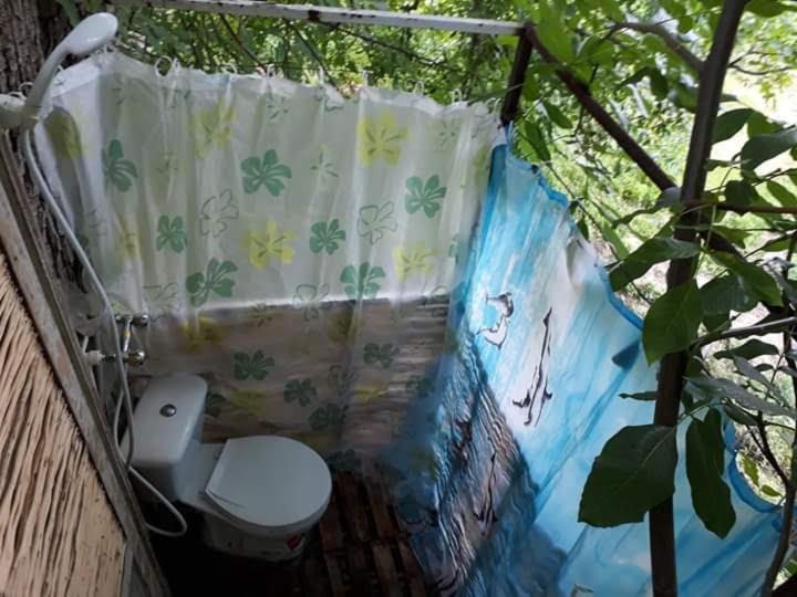 Areni House B&B