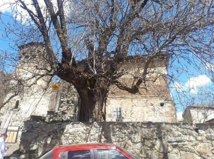 Photo 31