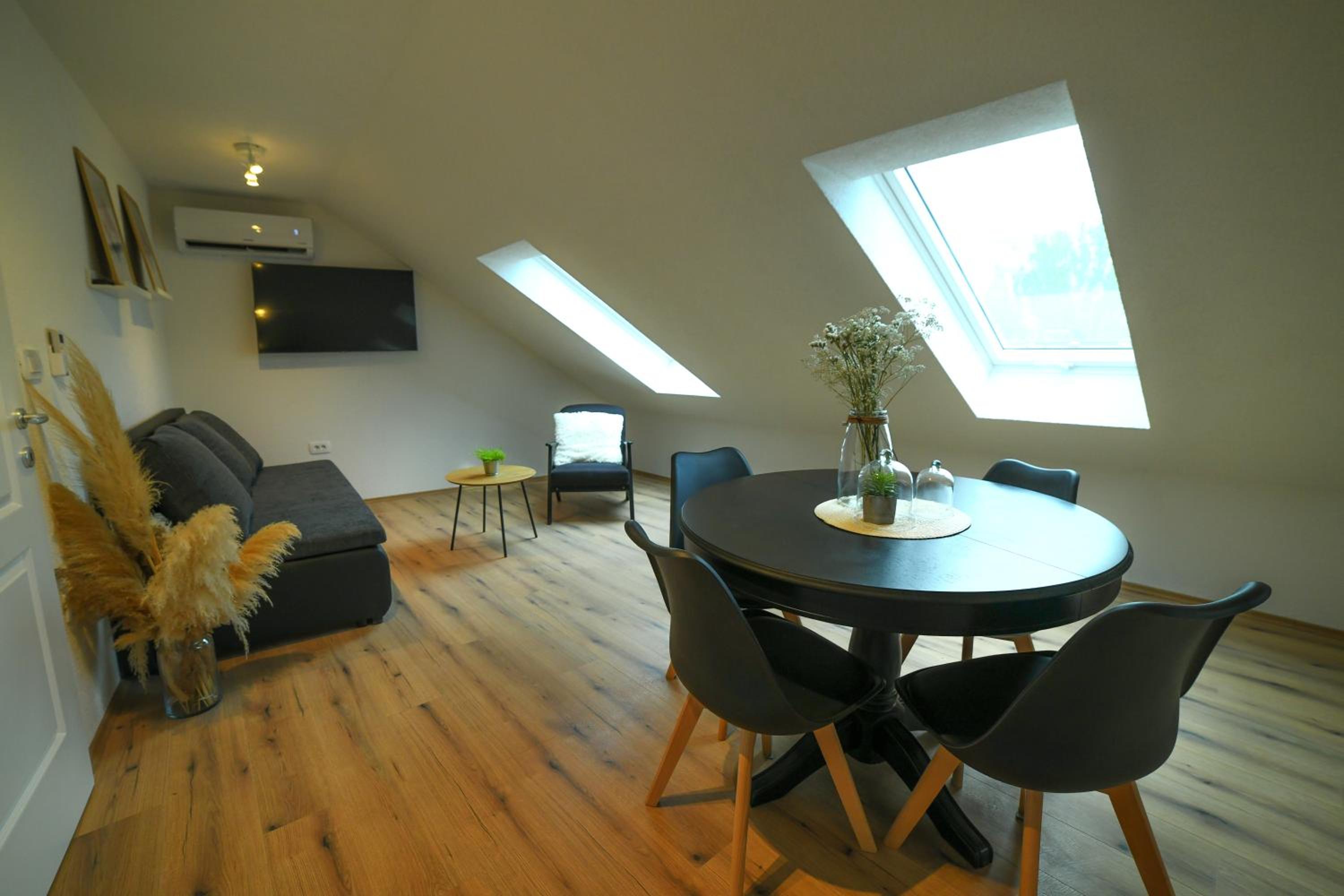 Apartman Sinjska Alka view 3