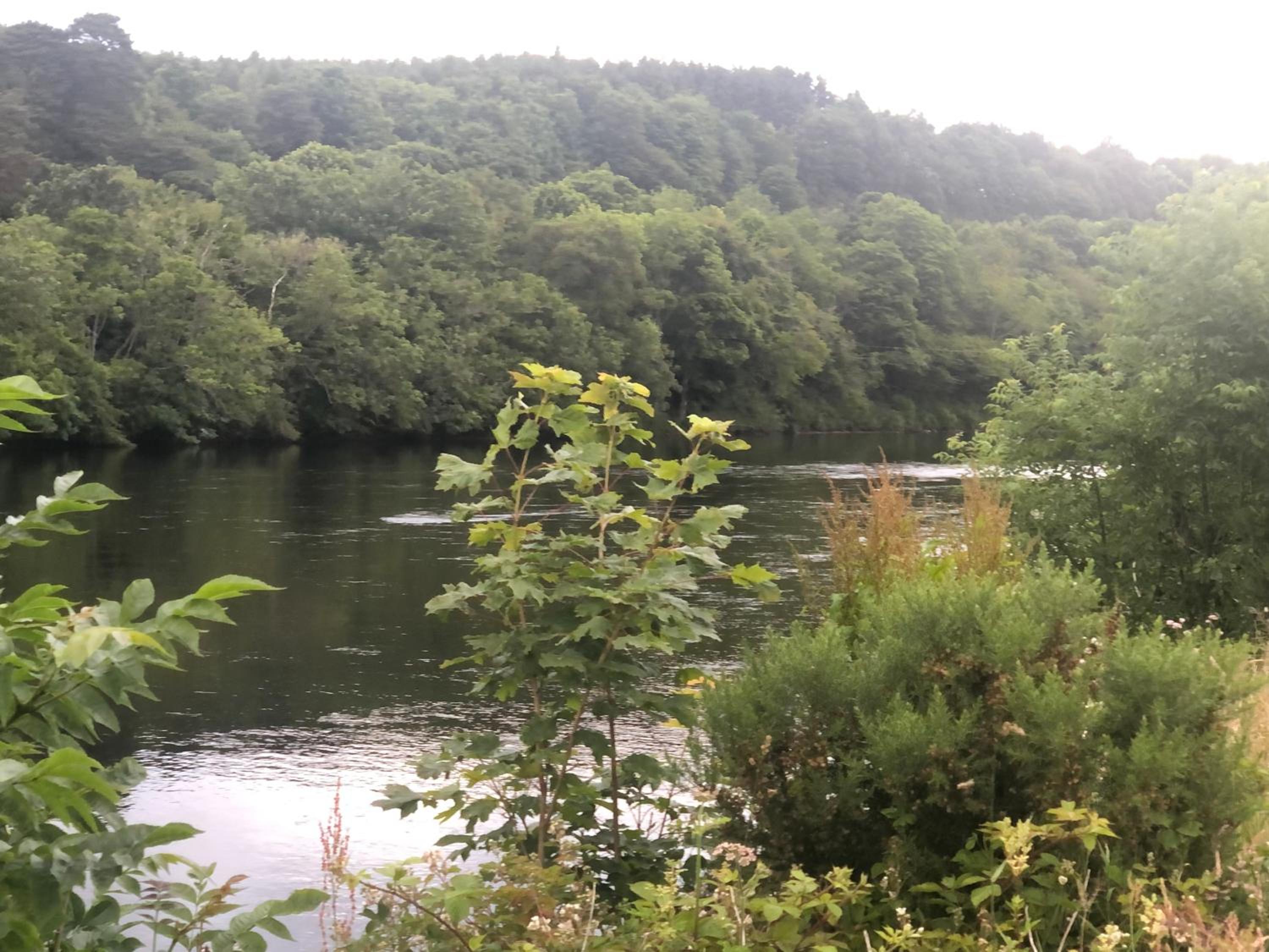 River Ness View view 3