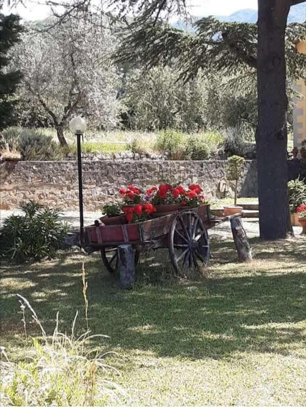 Agrifarm La Corte Apartment view 5