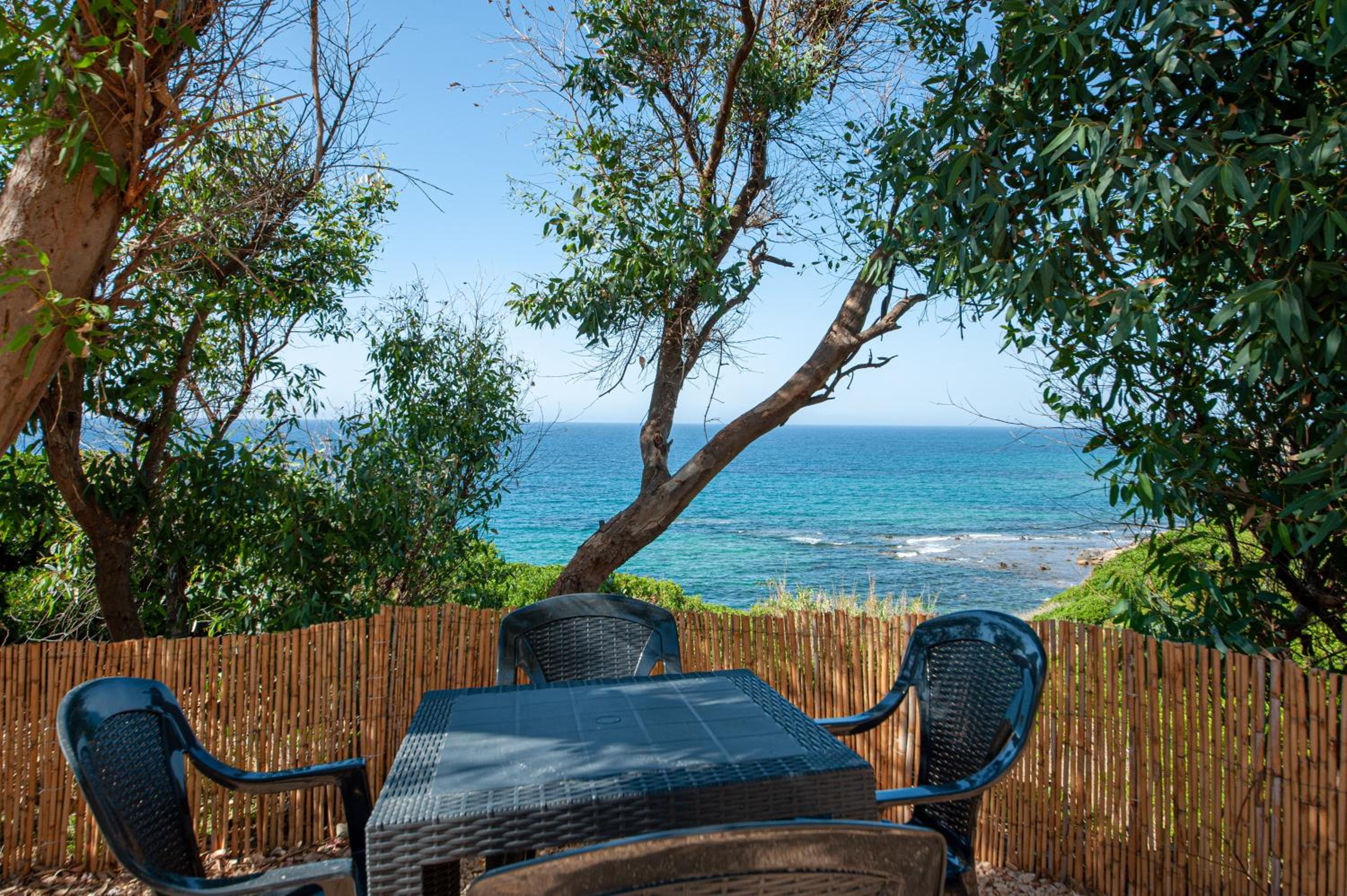 Tramontana