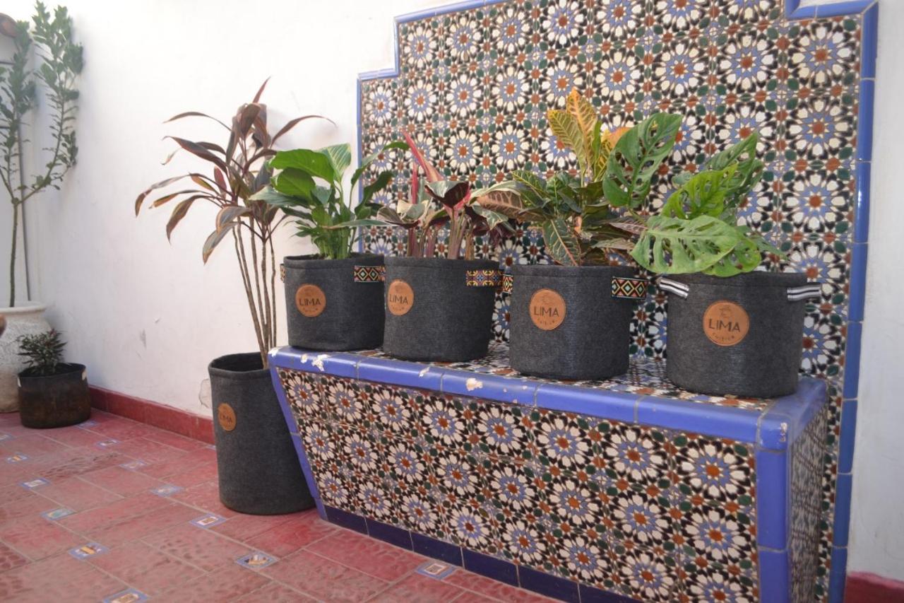Casa flora Bed and Breakfast