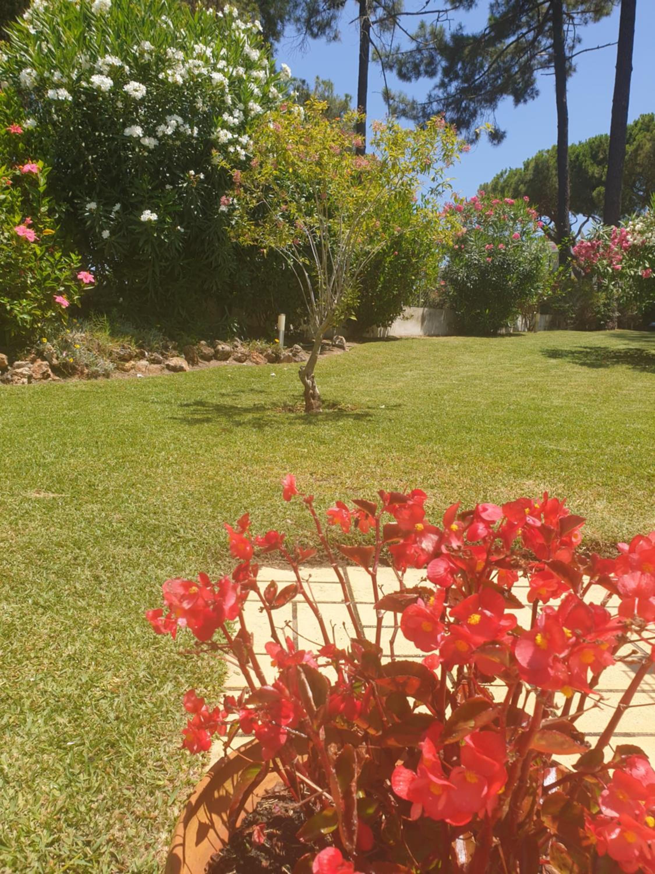 The Pinewood Villa