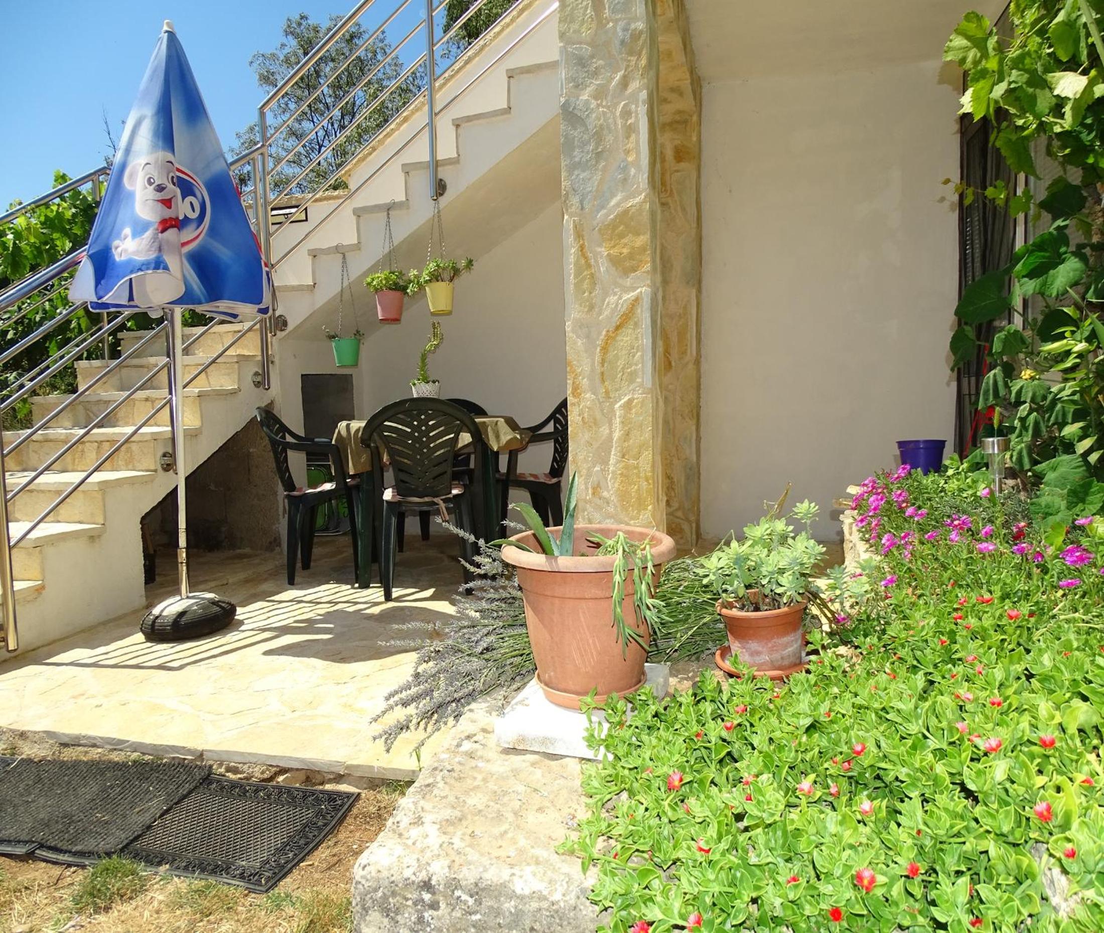 Photo 41